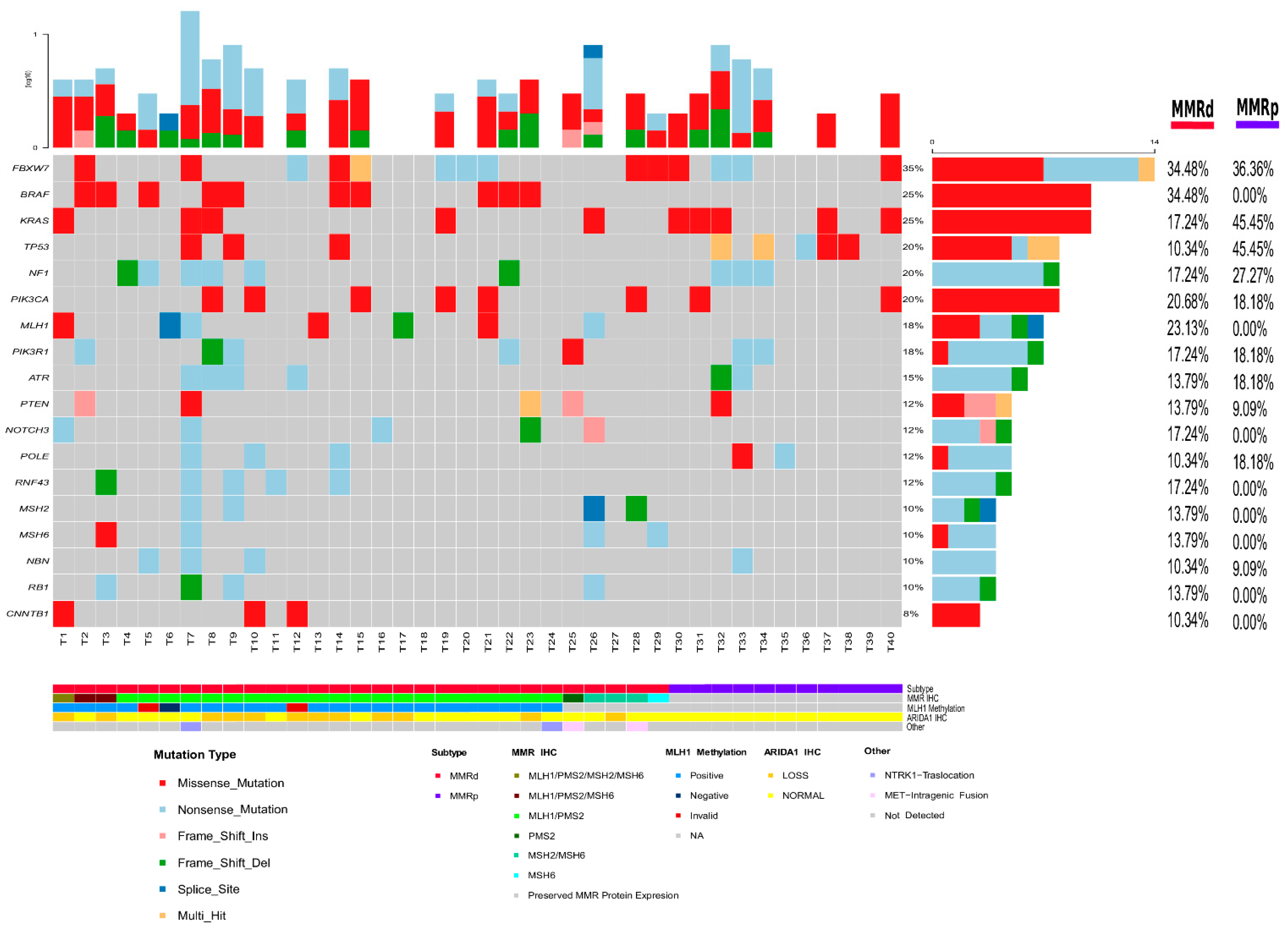 Cancers 13 00233 g001