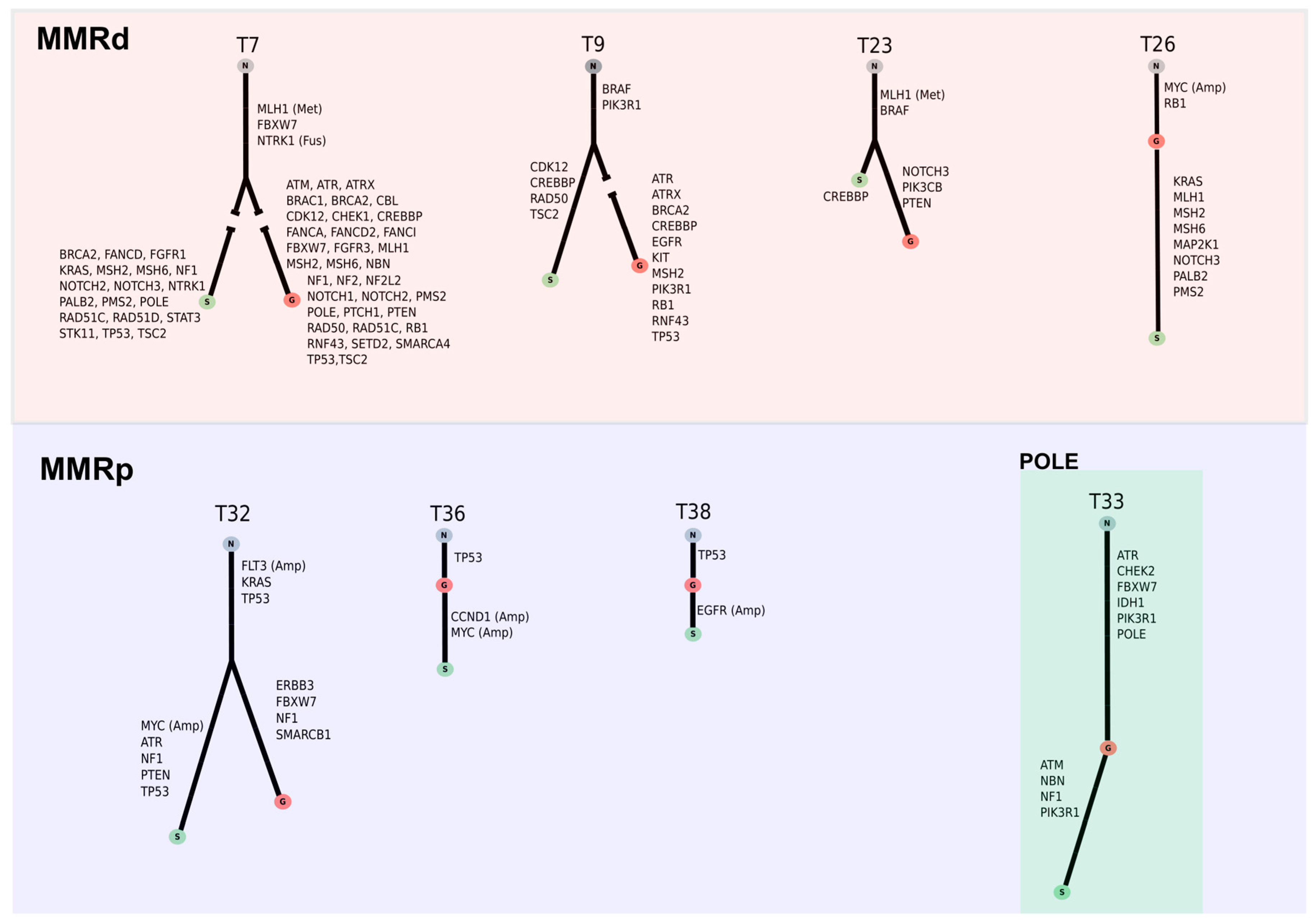 Cancers 13 00233 g003