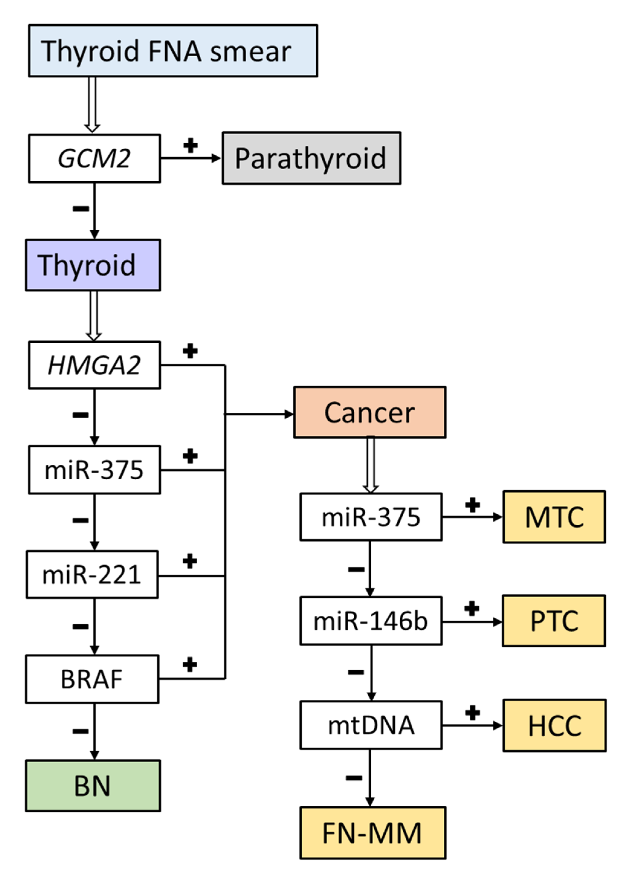 Cancers 13 00237 g005 Cancers 13 00237 g005