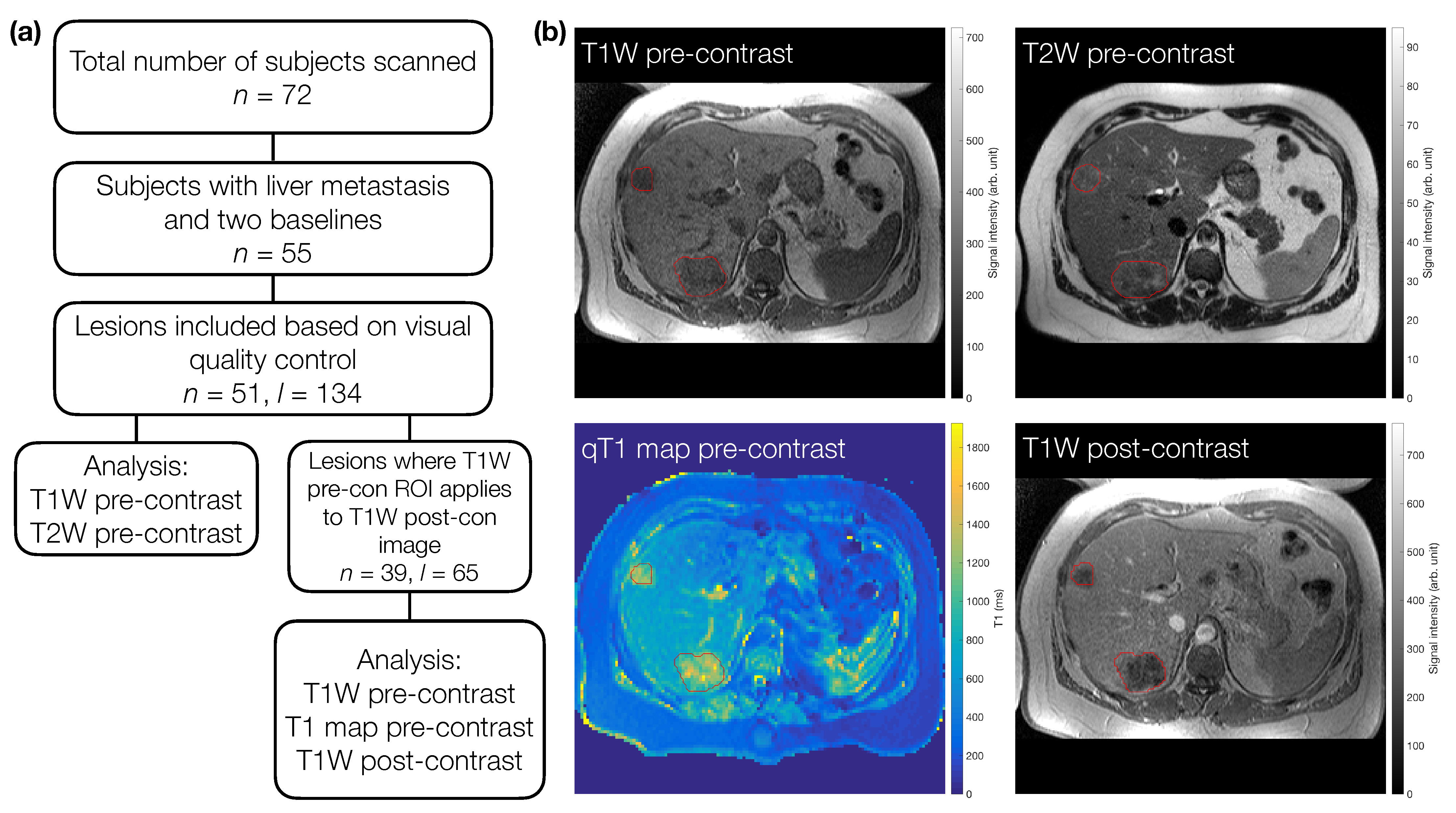 Cancers 13 00240 g001