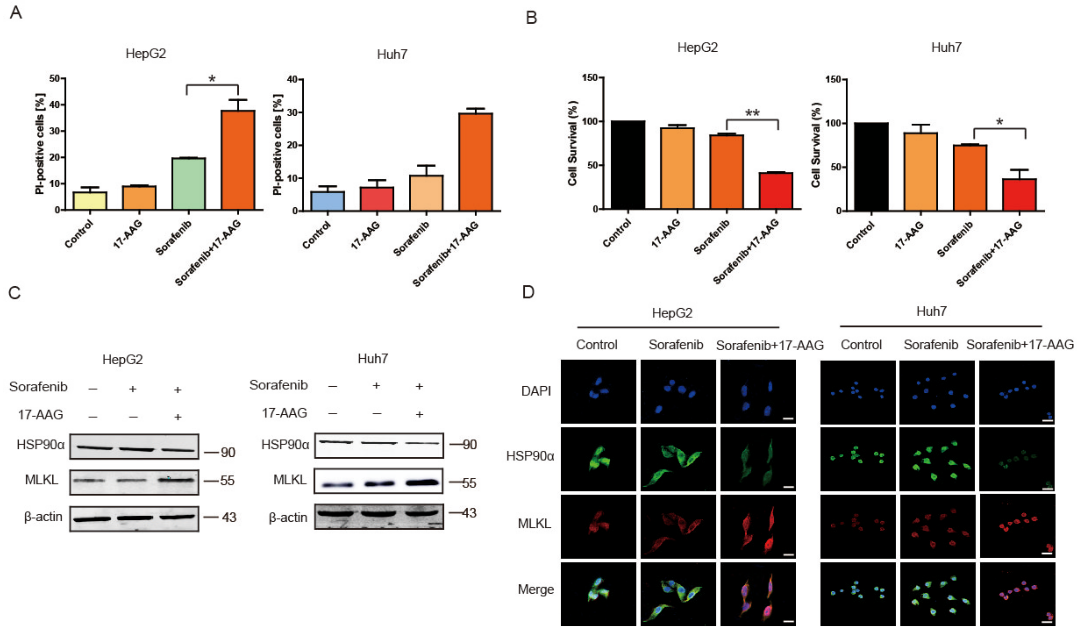 Cancers 13 00243 g005