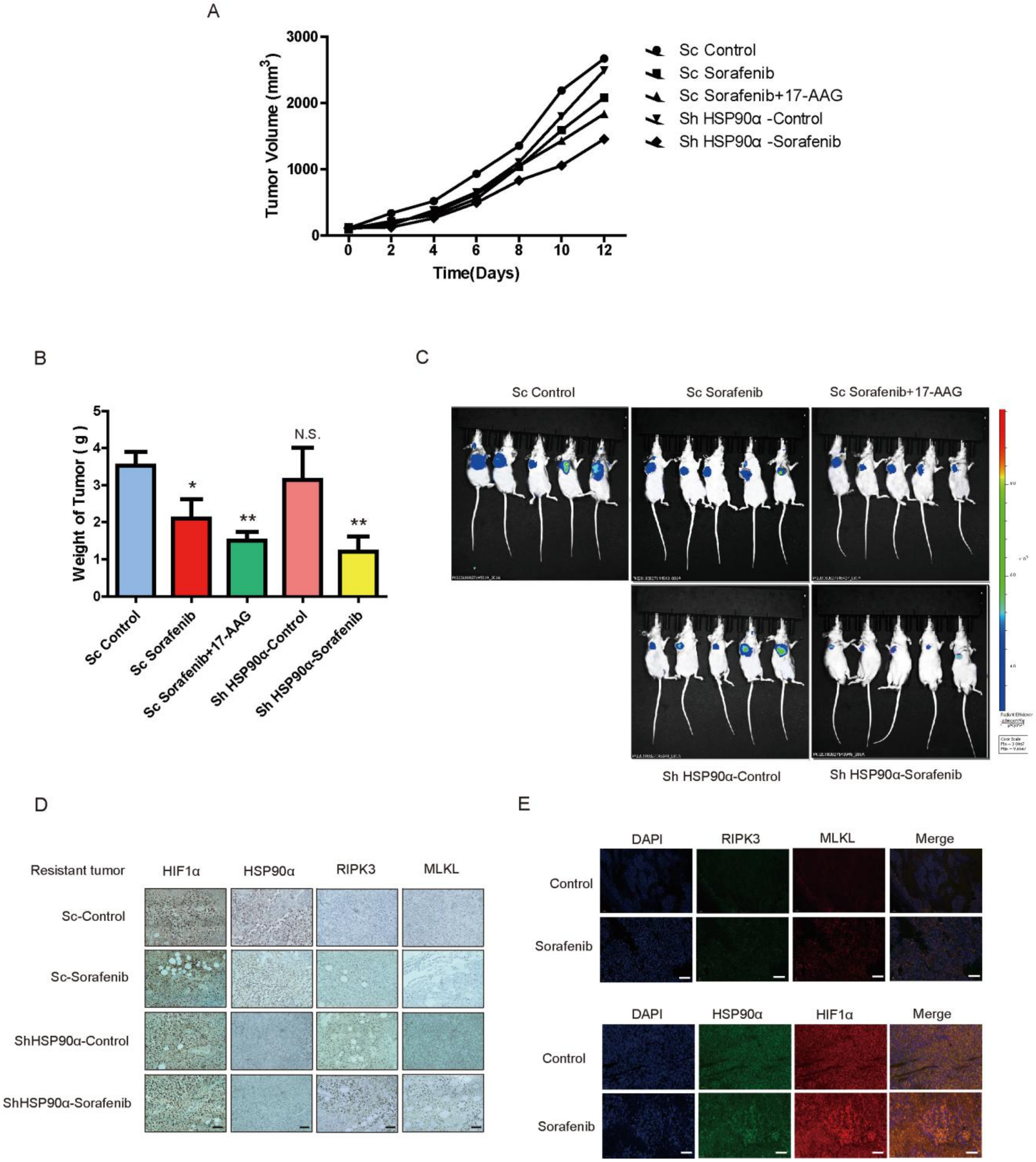 Cancers 13 00243 g006
