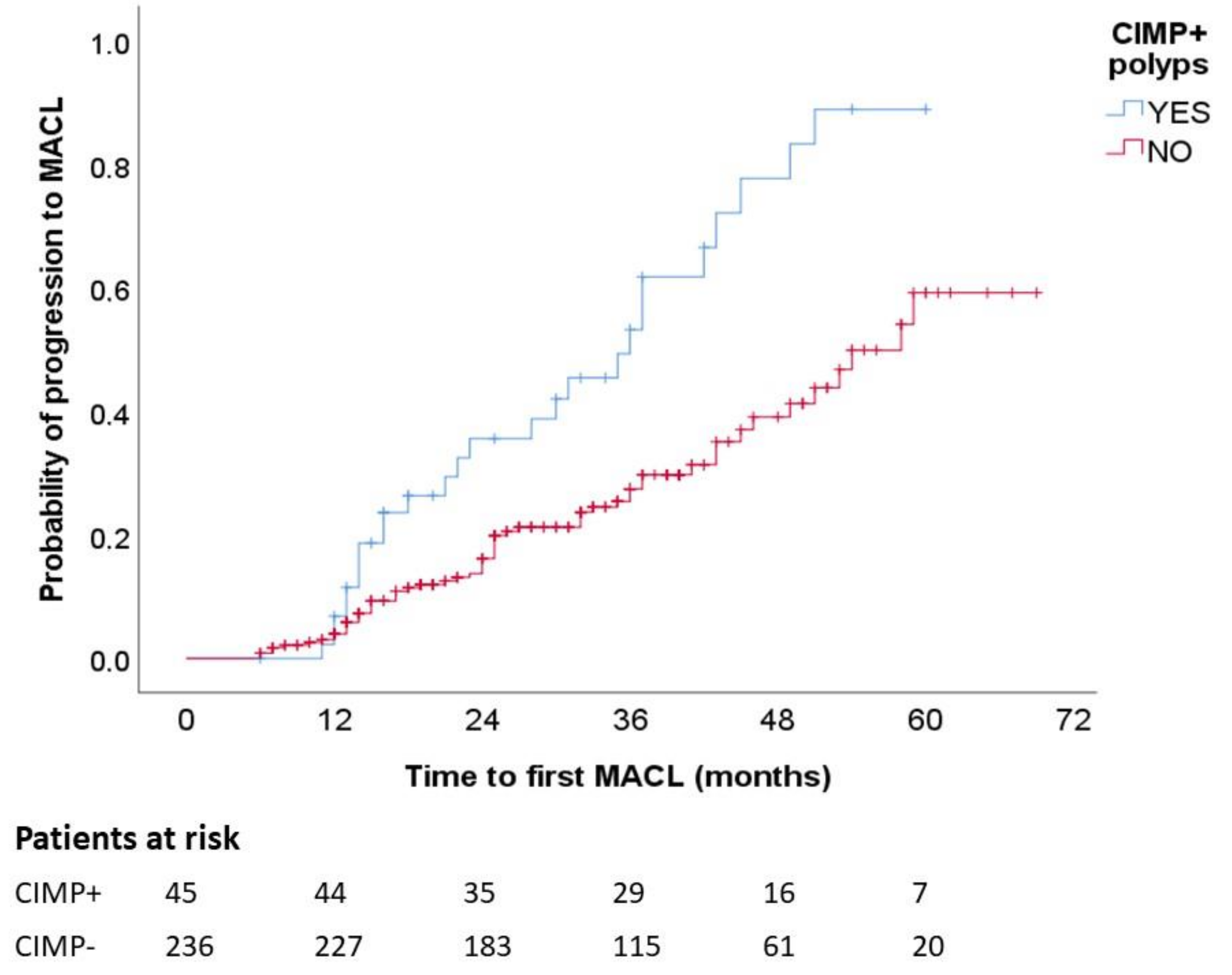 Cancers 13 00246 g002