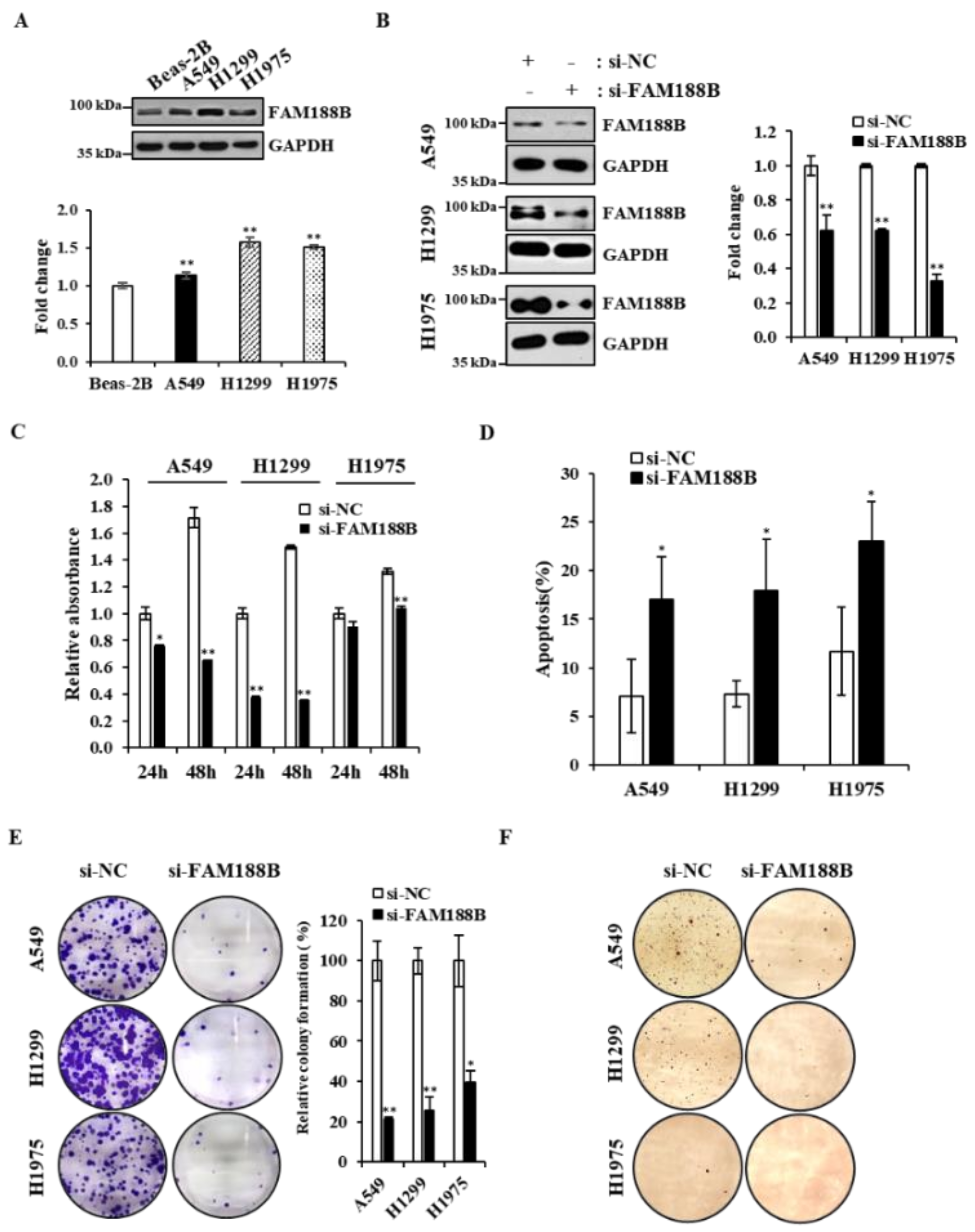 Cancers 13 00247 g001