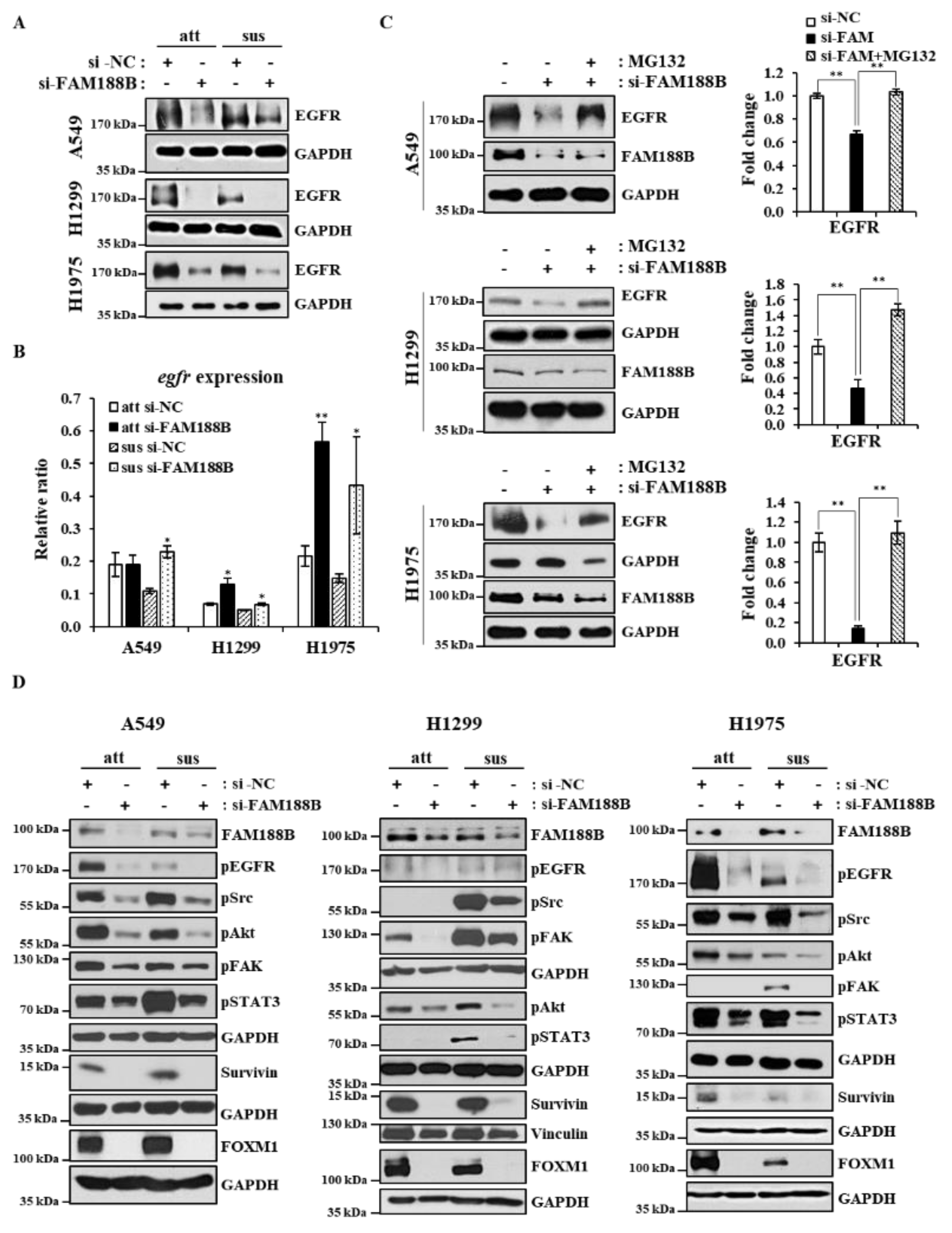 Cancers 13 00247 g003