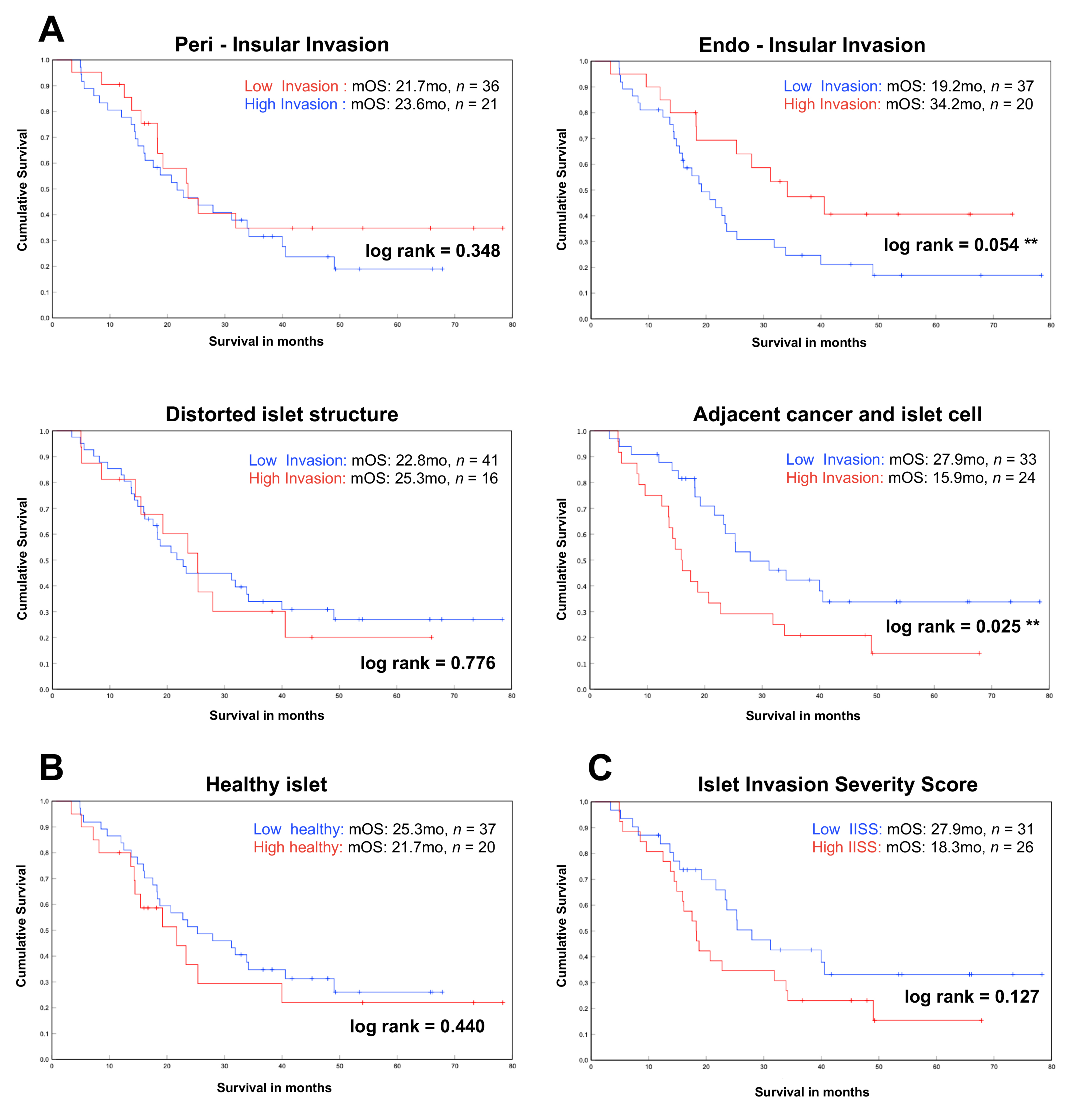 Cancers 13 00249 g003