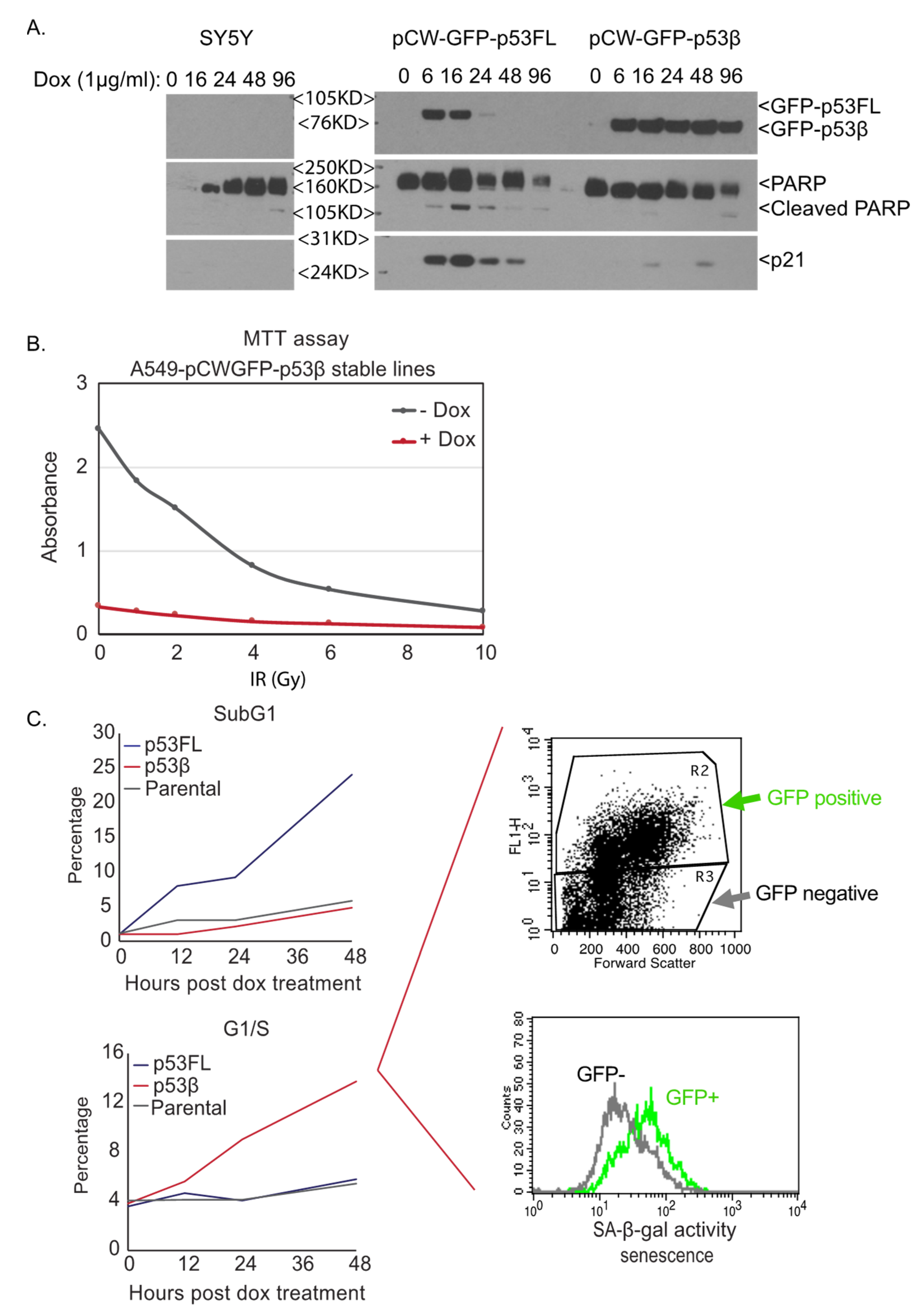 Cancers 13 00251 g002