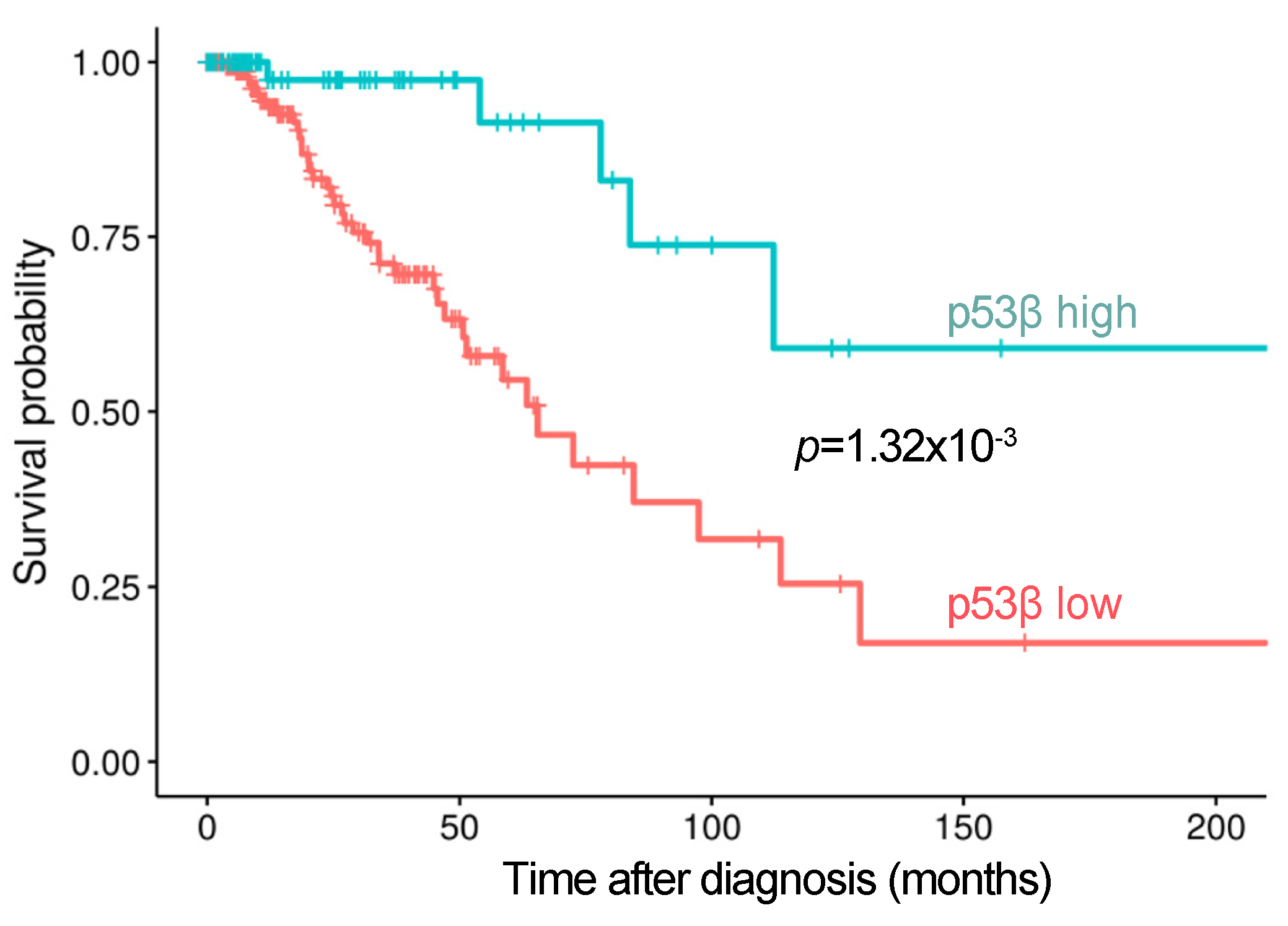 Cancers 13 00251 g003