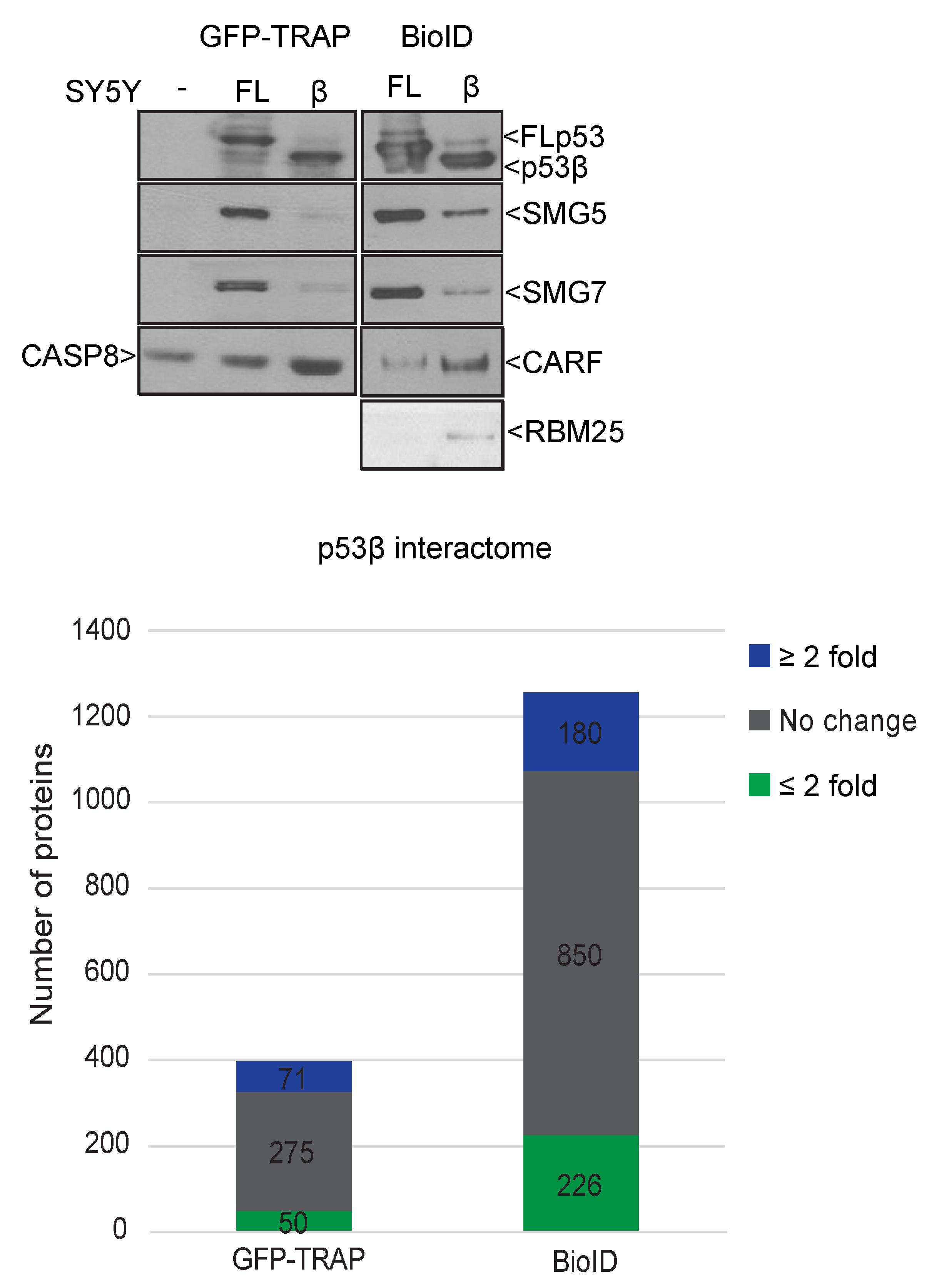 Cancers 13 00251 g004