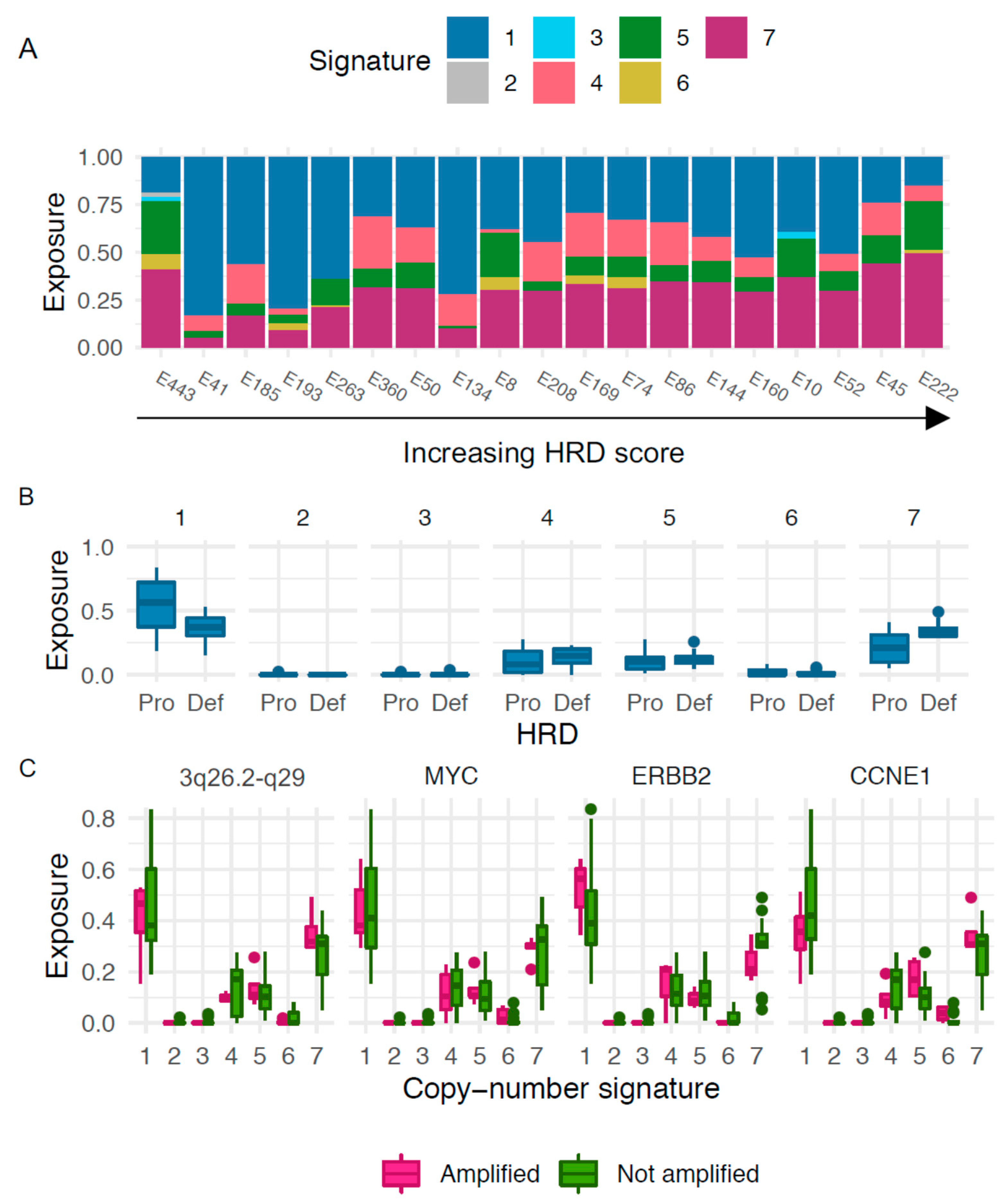 Cancers 13 00254 g004