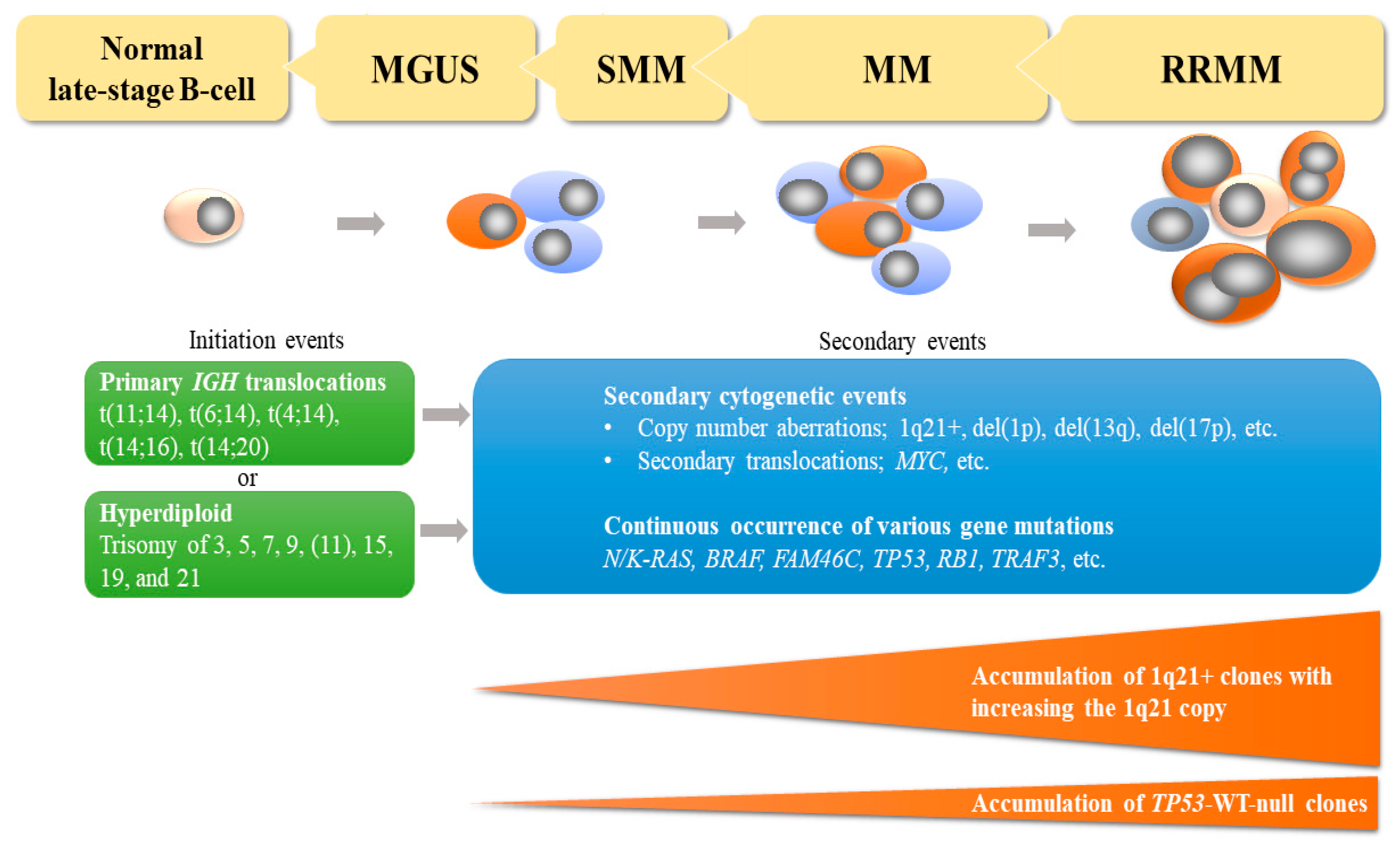 Cancers 13 00256 g001