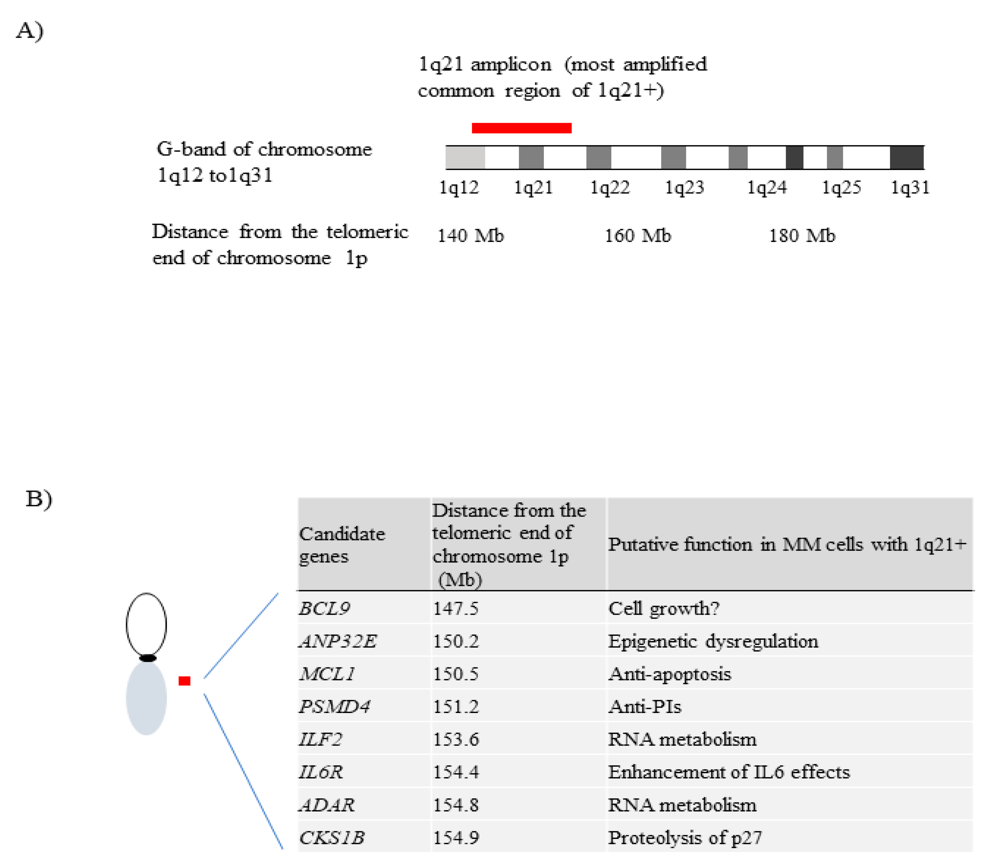 Cancers 13 00256 g003