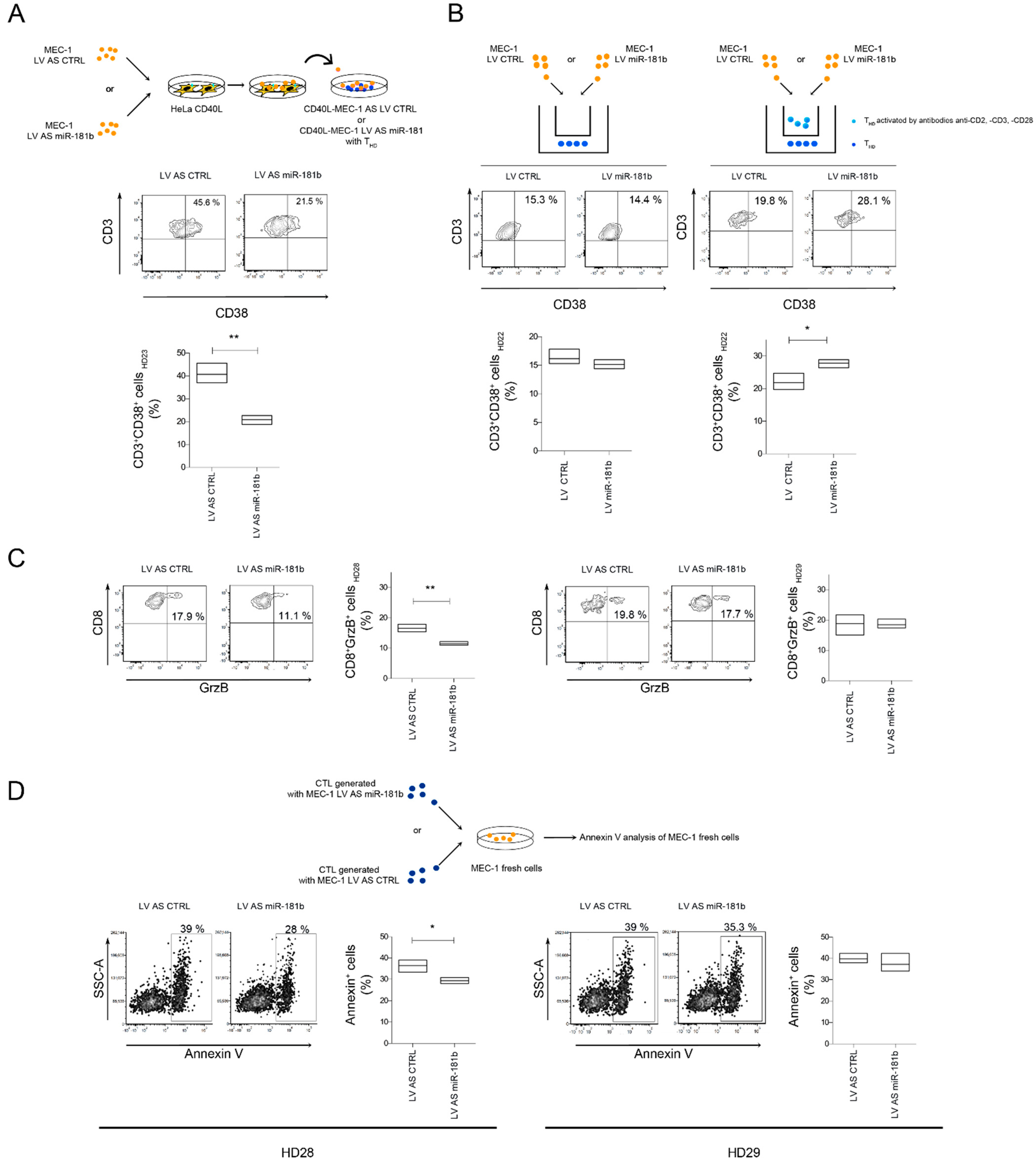 Cancers 13 00257 g005