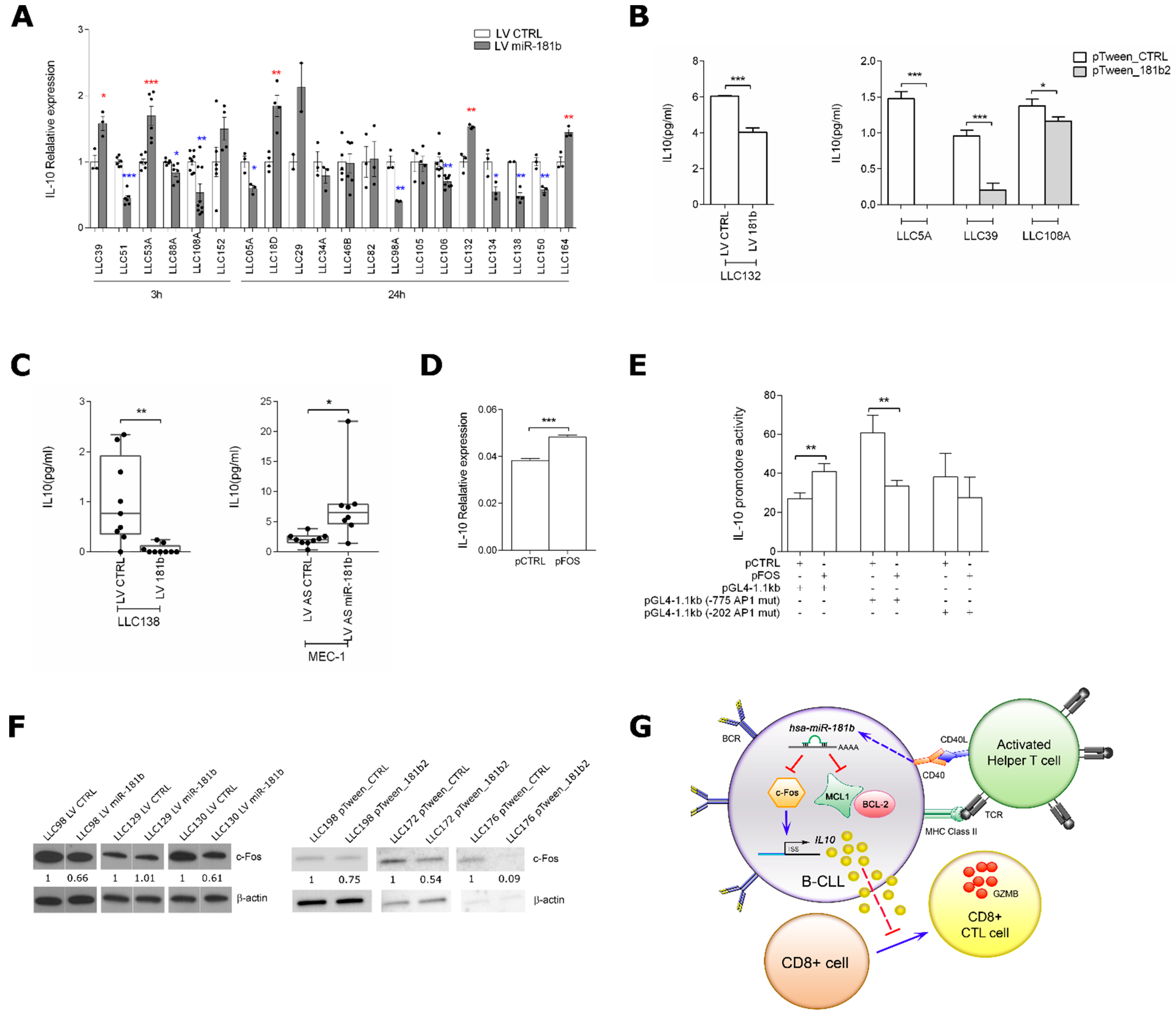 Cancers 13 00257 g006