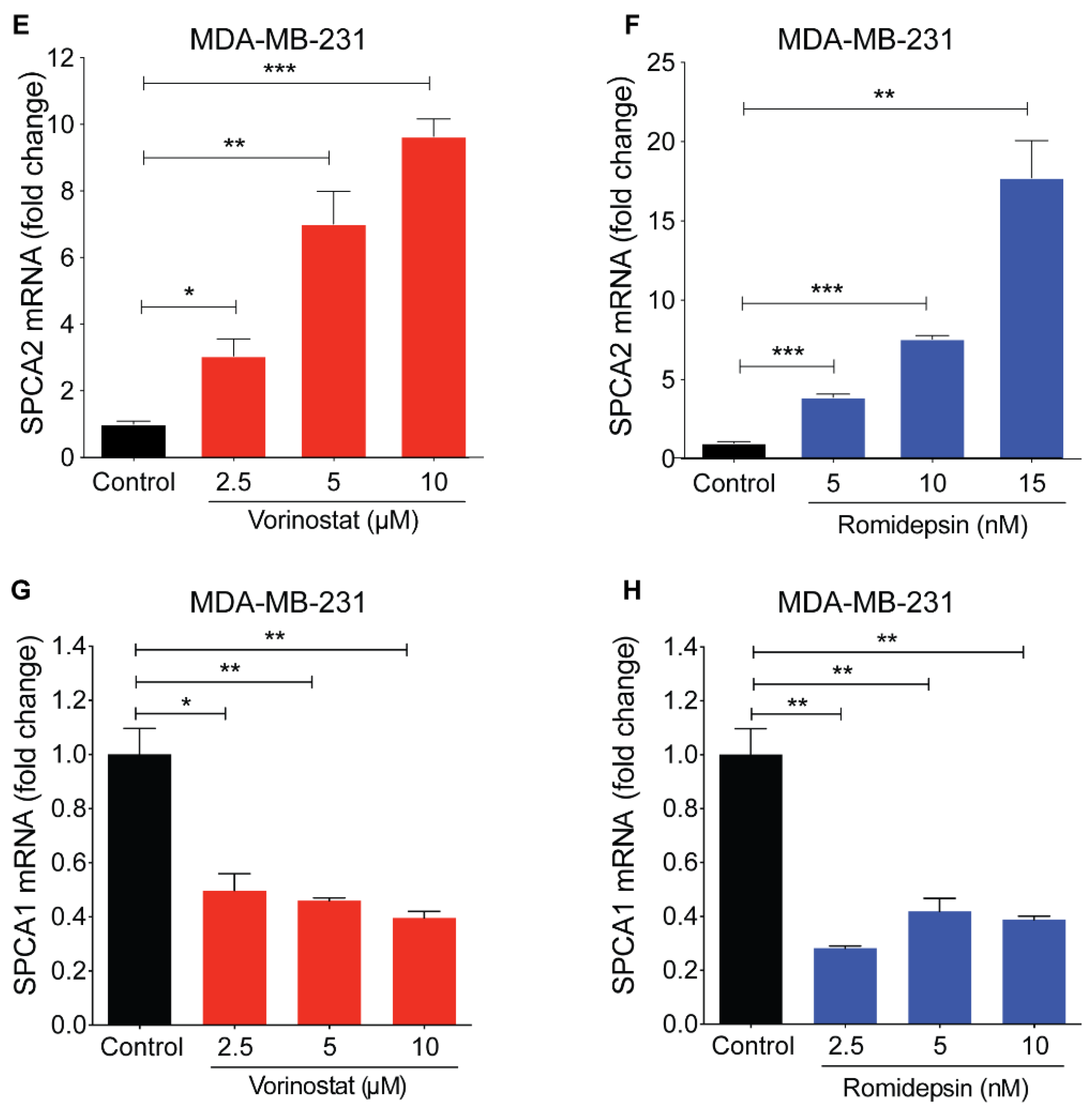 Cancers 13 00259 g002b Cancers 13 00259 g002b