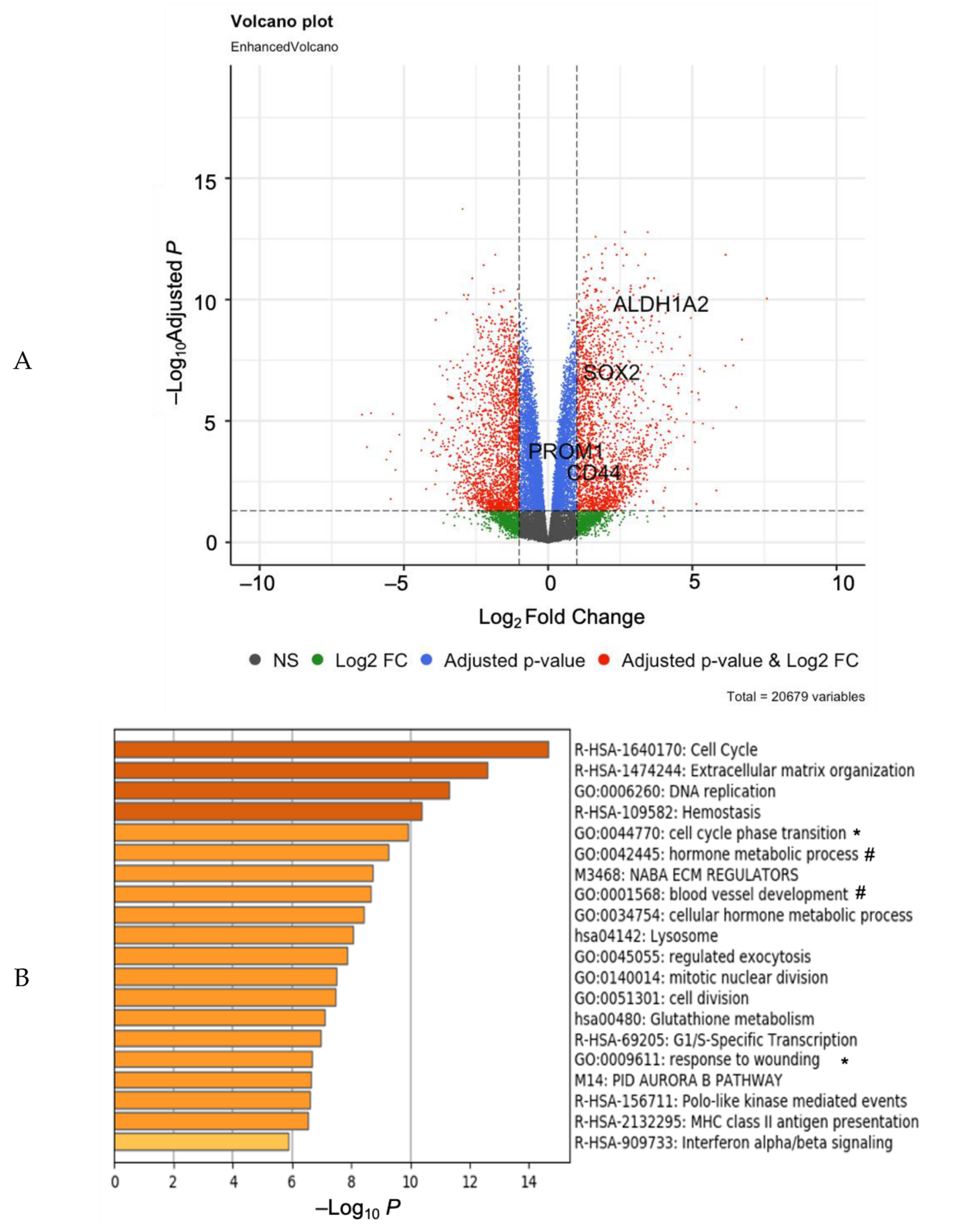 Cancers 13 00262 g001a