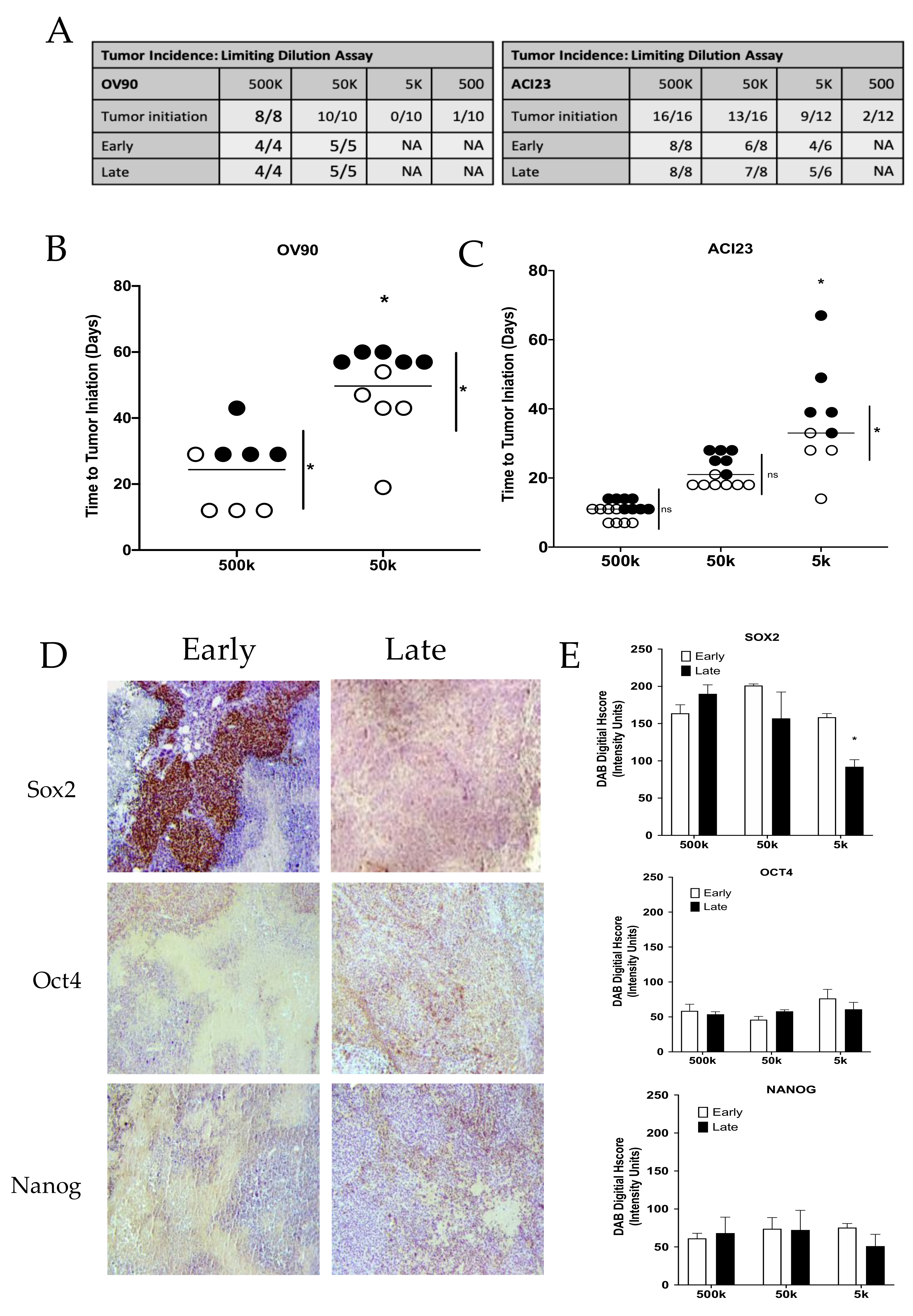 Cancers 13 00262 g005