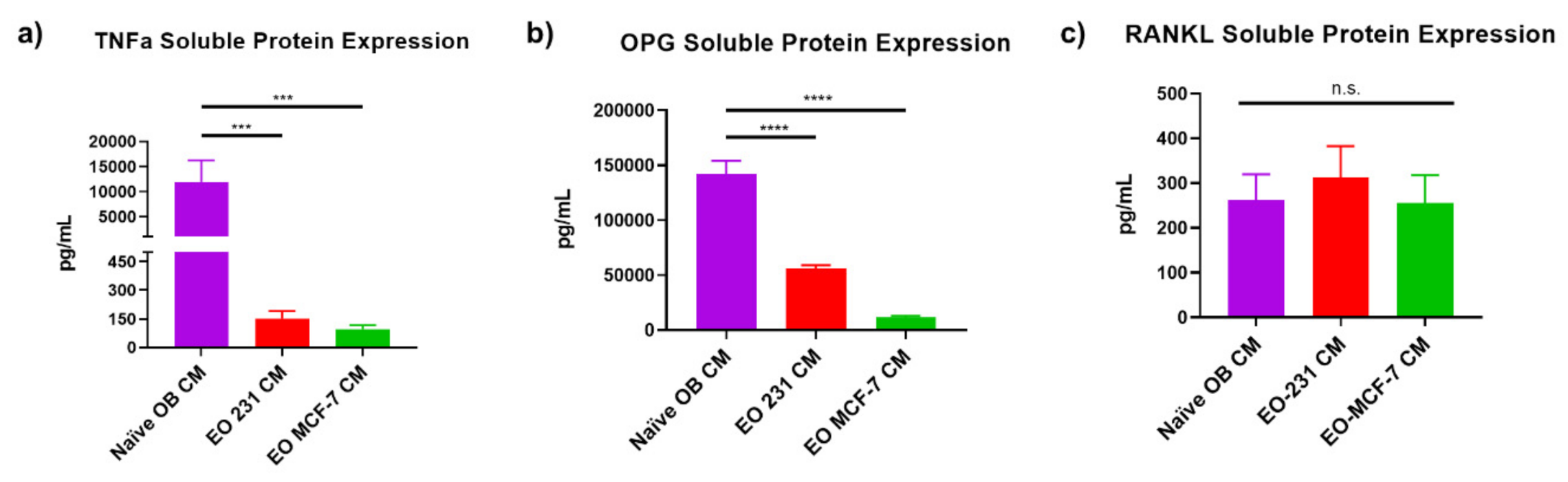 Cancers 13 00263 g007