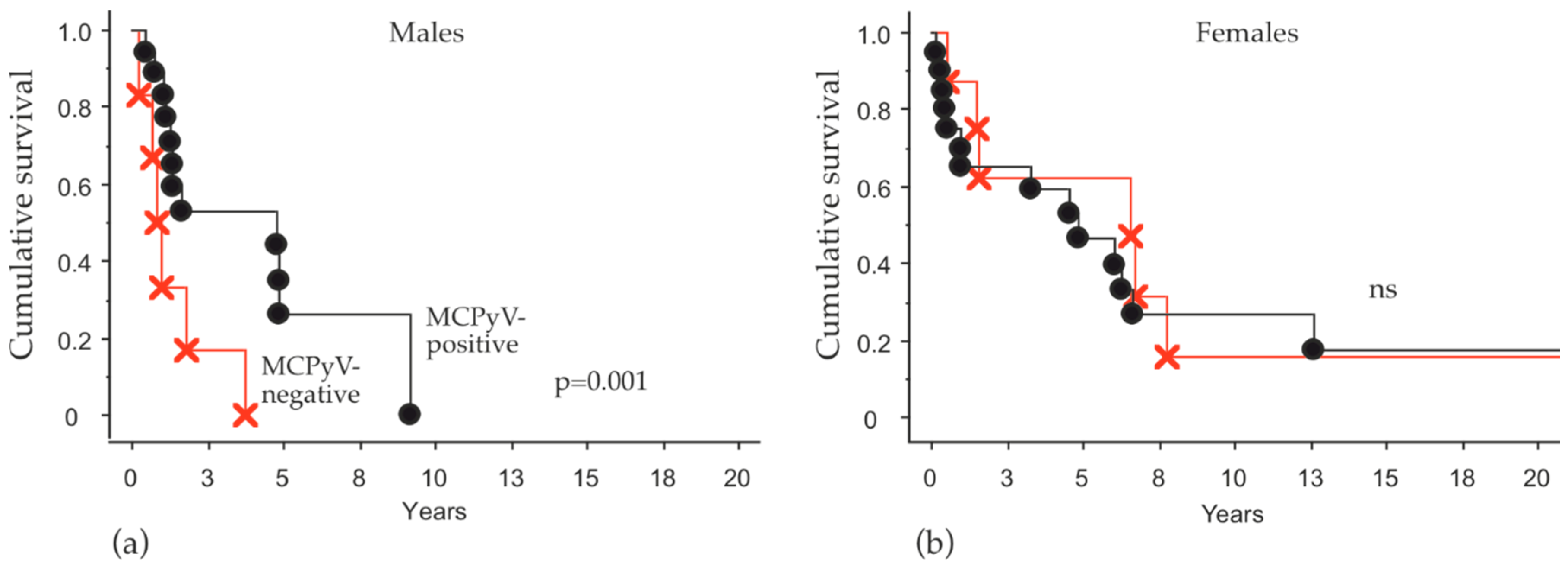 Cancers 13 00265 g002
