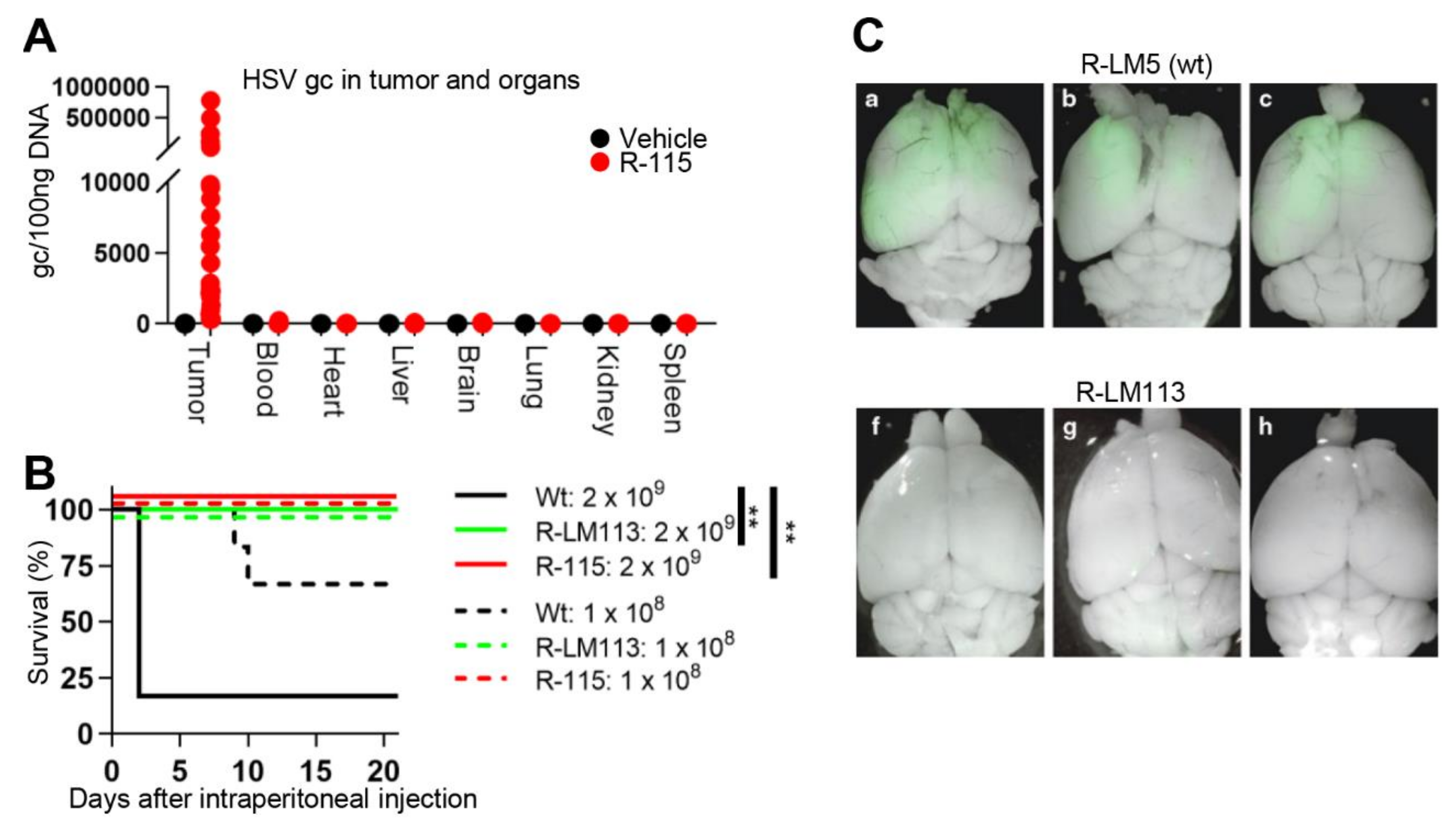 Cancers 13 00266 g003