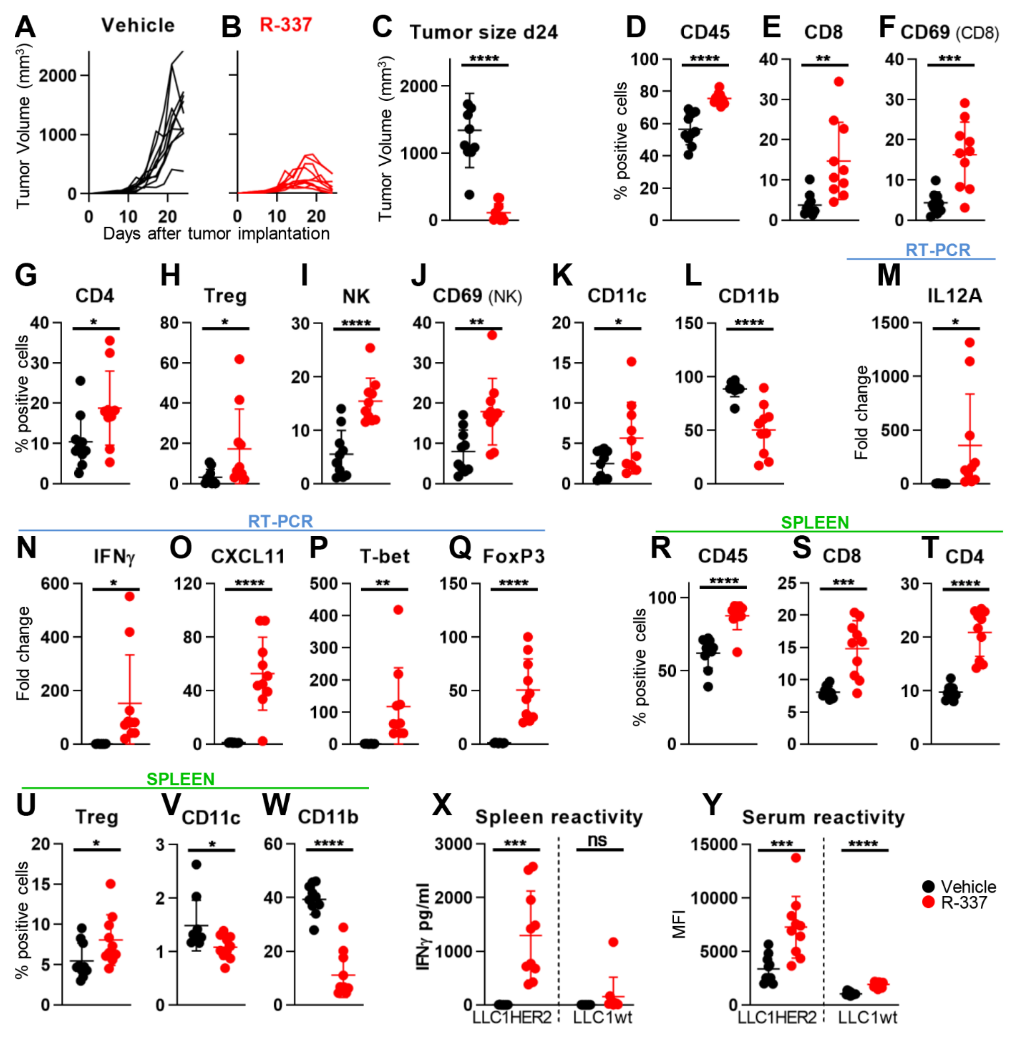 Cancers 13 00266 g005