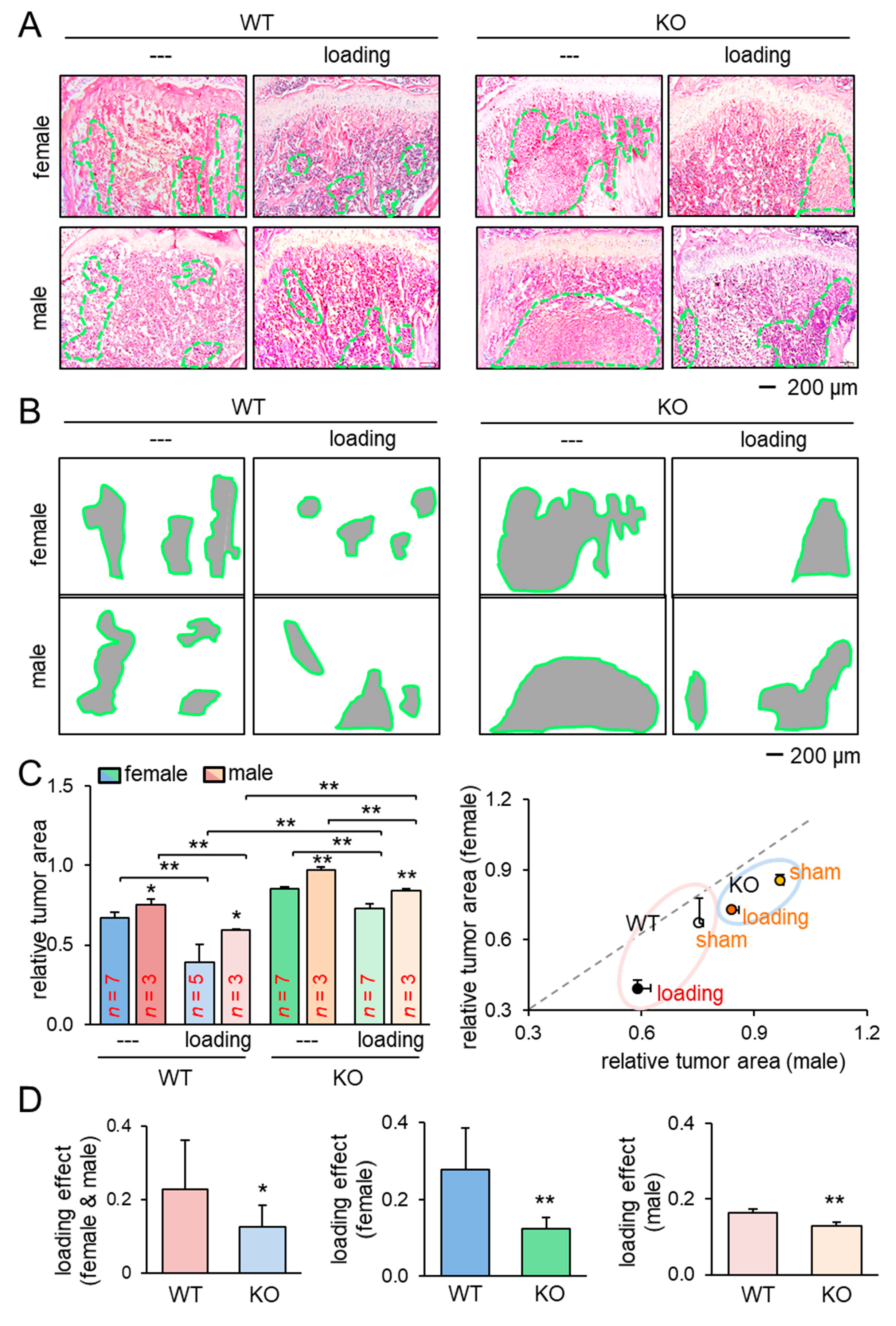 Cancers 13 00267 g002 Cancers 13 00267 g002