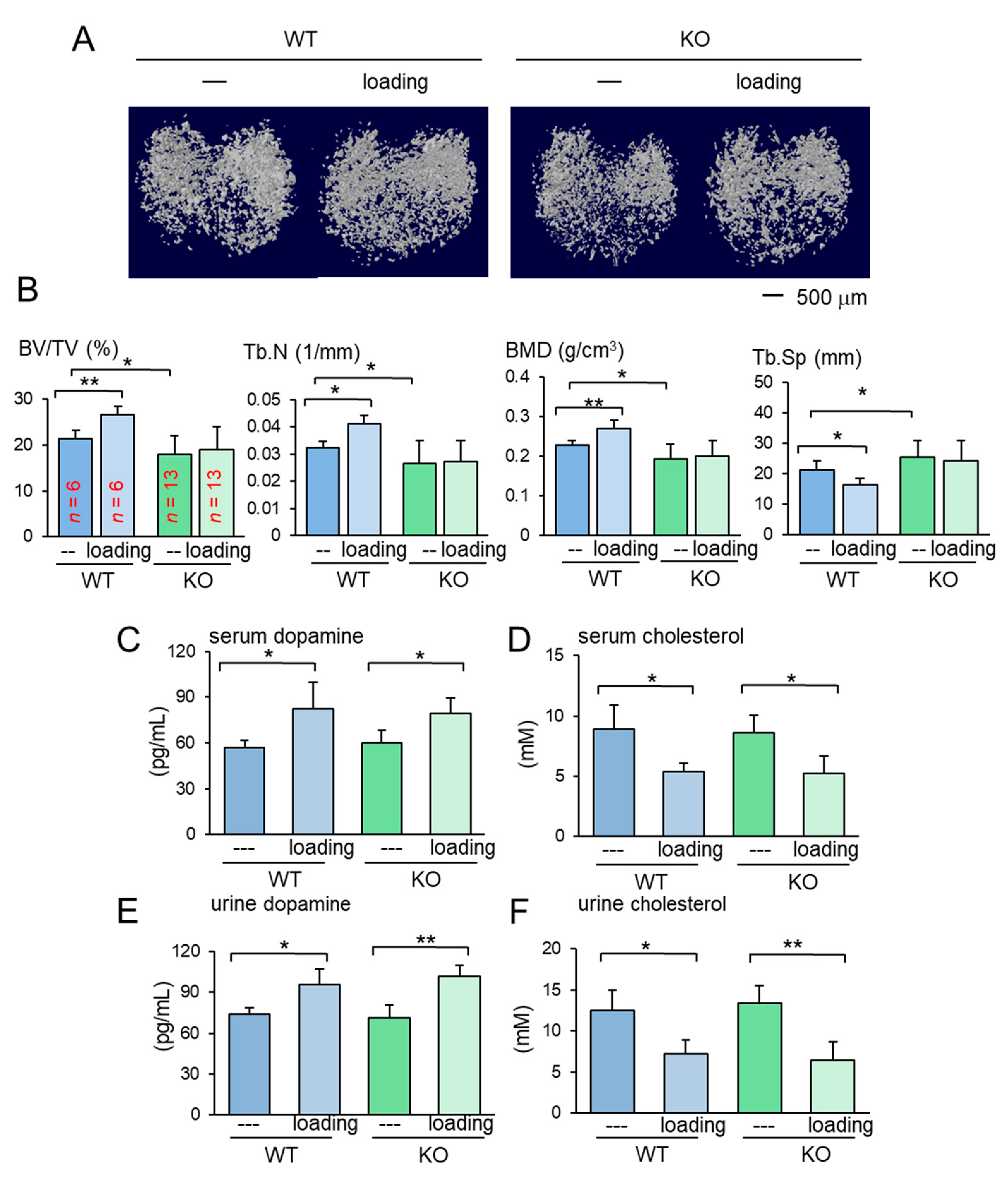 Cancers 13 00267 g003 Cancers 13 00267 g003