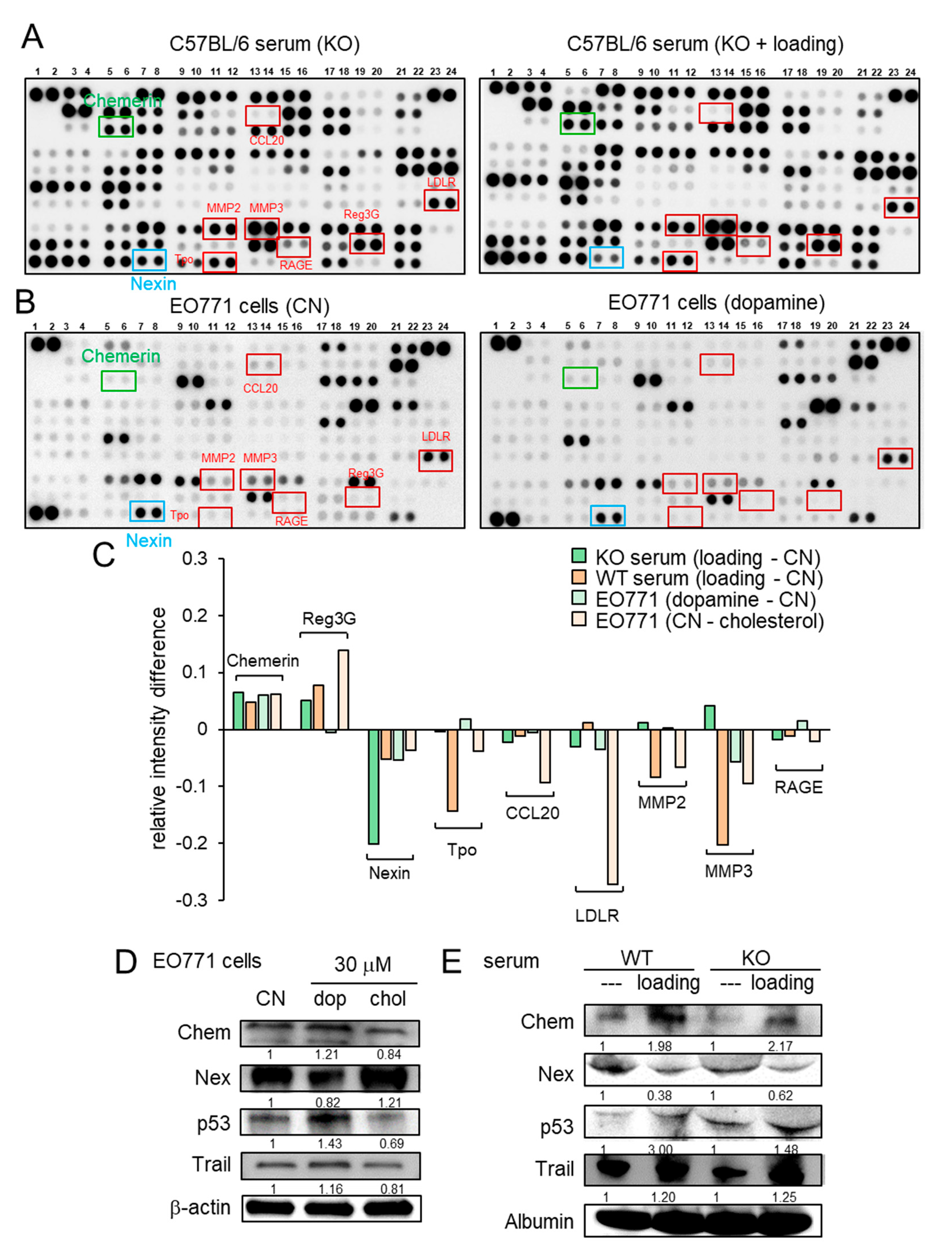 Cancers 13 00267 g004 Cancers 13 00267 g004