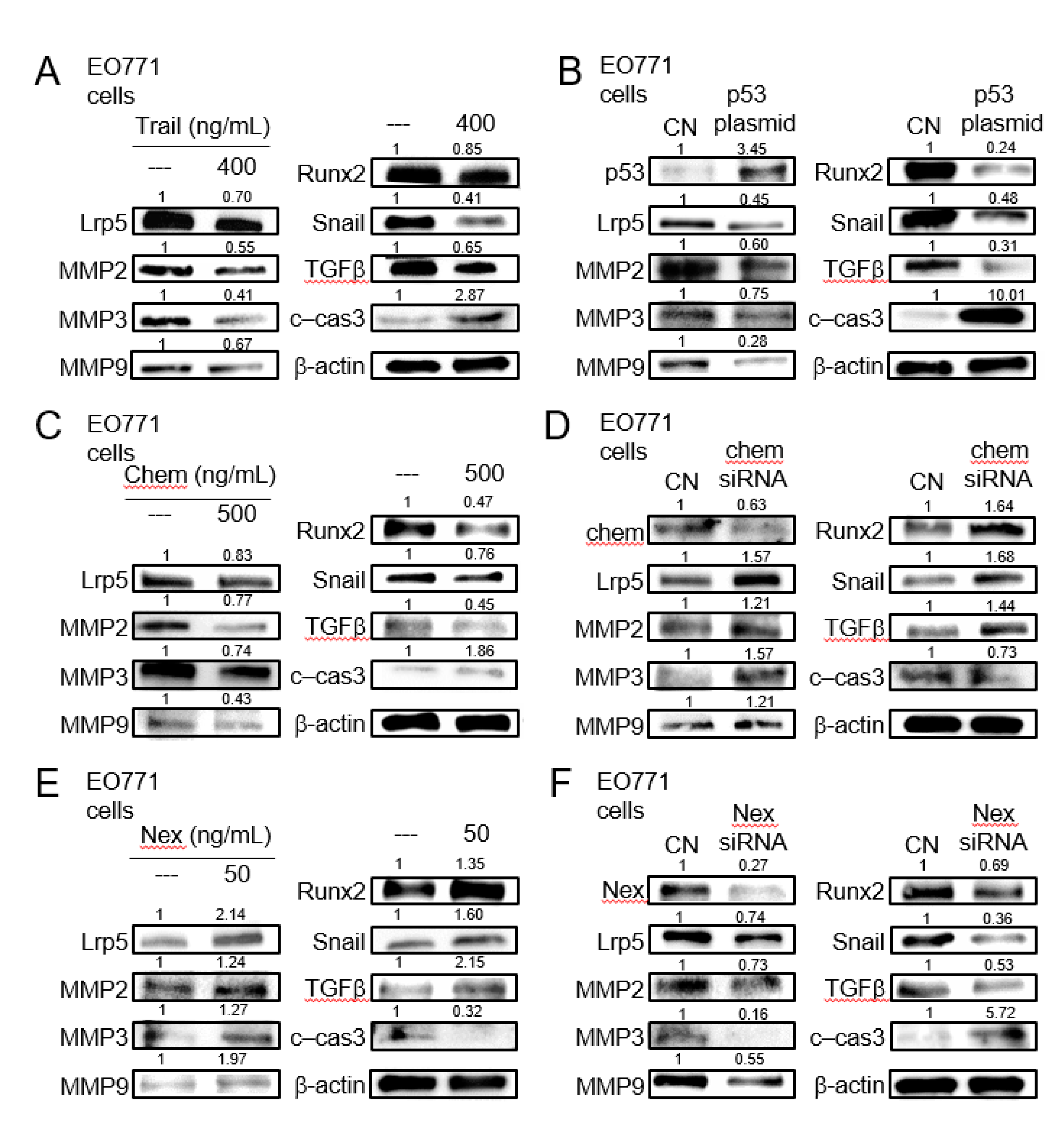 Cancers 13 00267 g005 Cancers 13 00267 g005