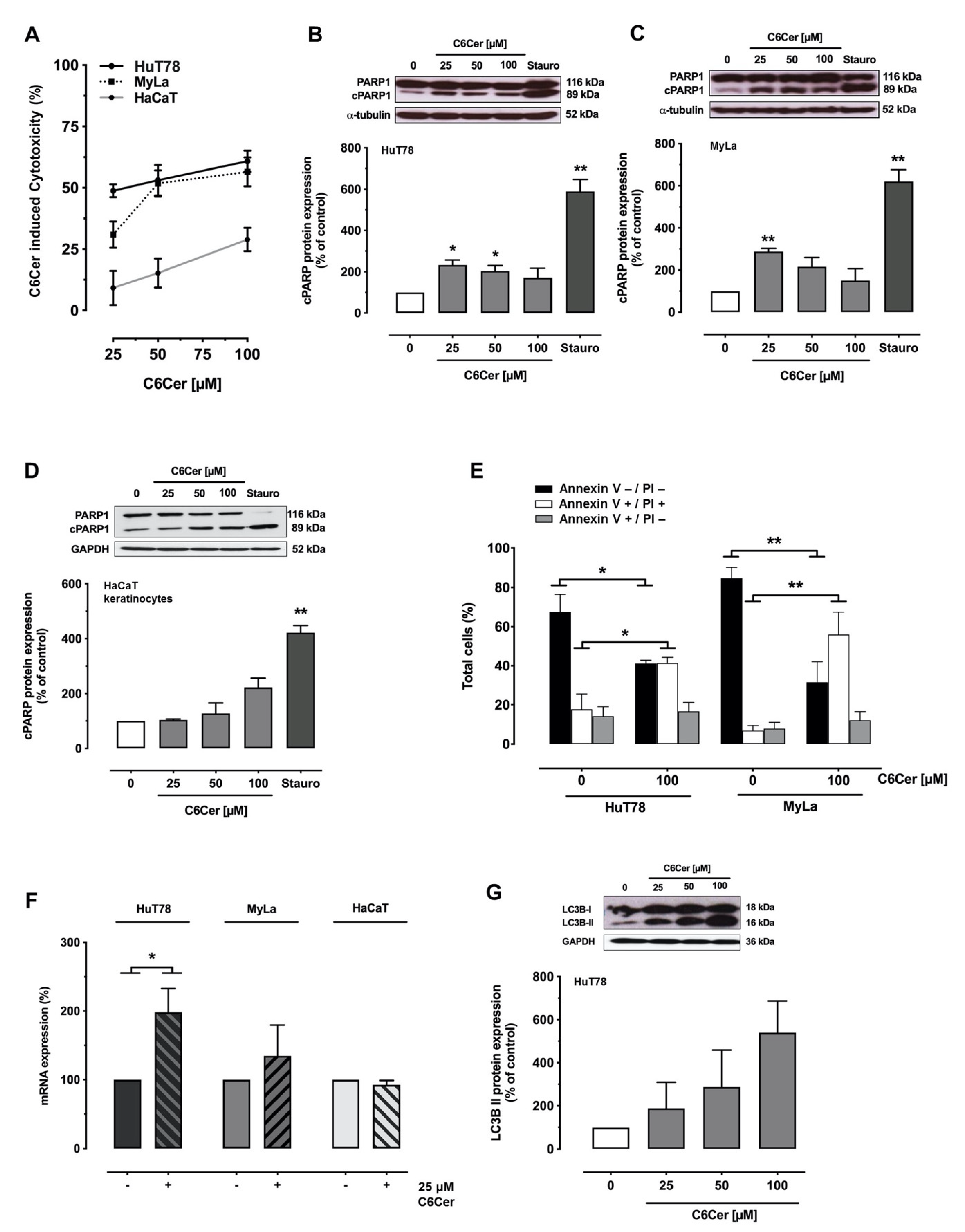 Cancers 13 00270 g002