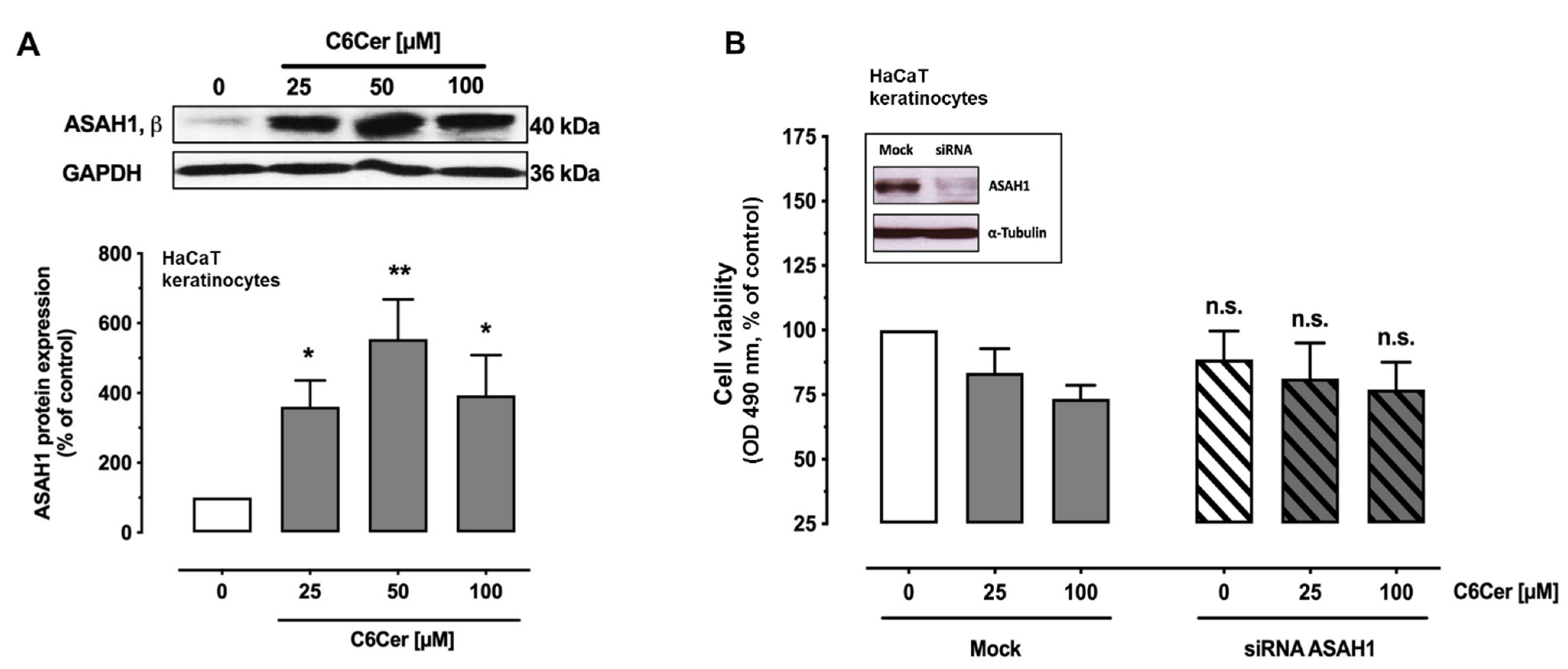 Cancers 13 00270 g004
