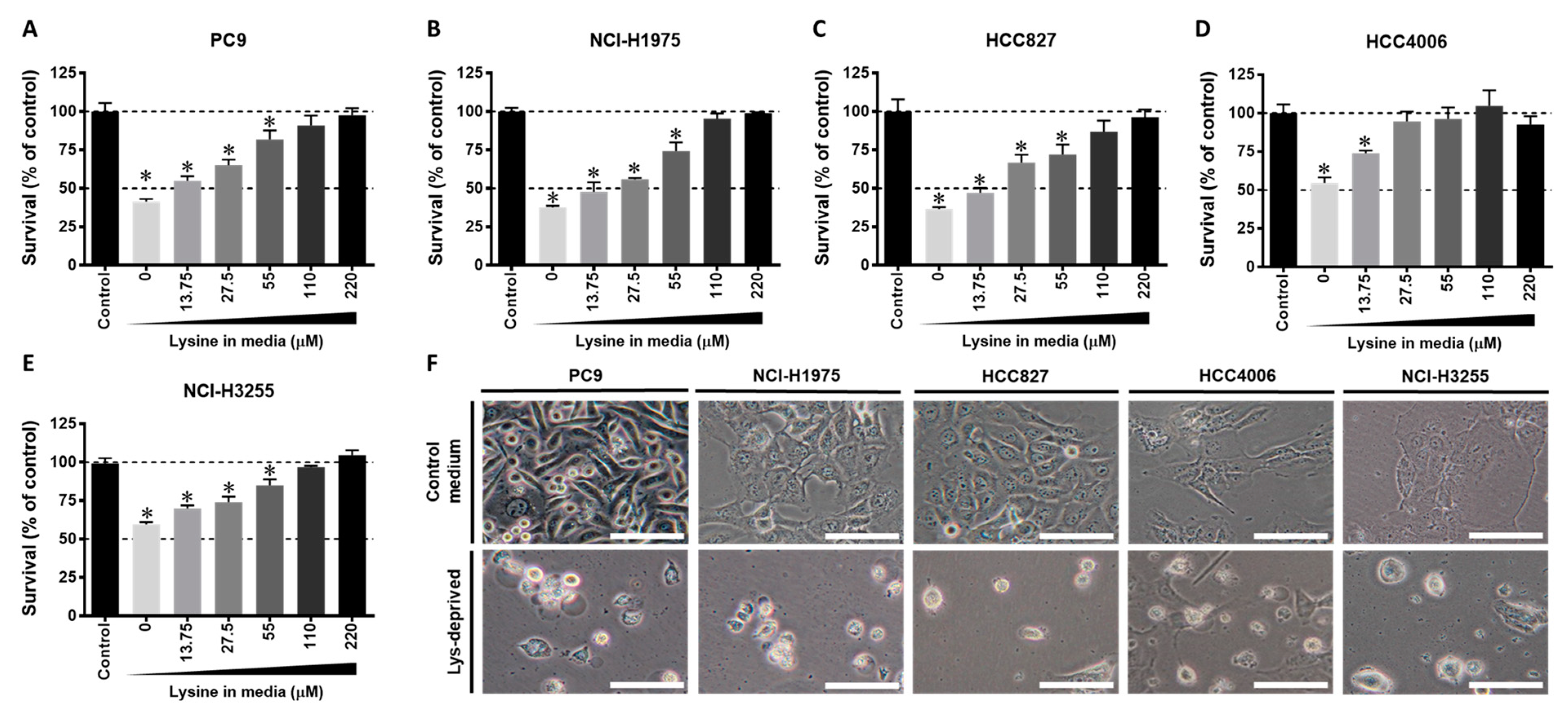 Cancers 13 00272 g003 Cancers 13 00272 g003