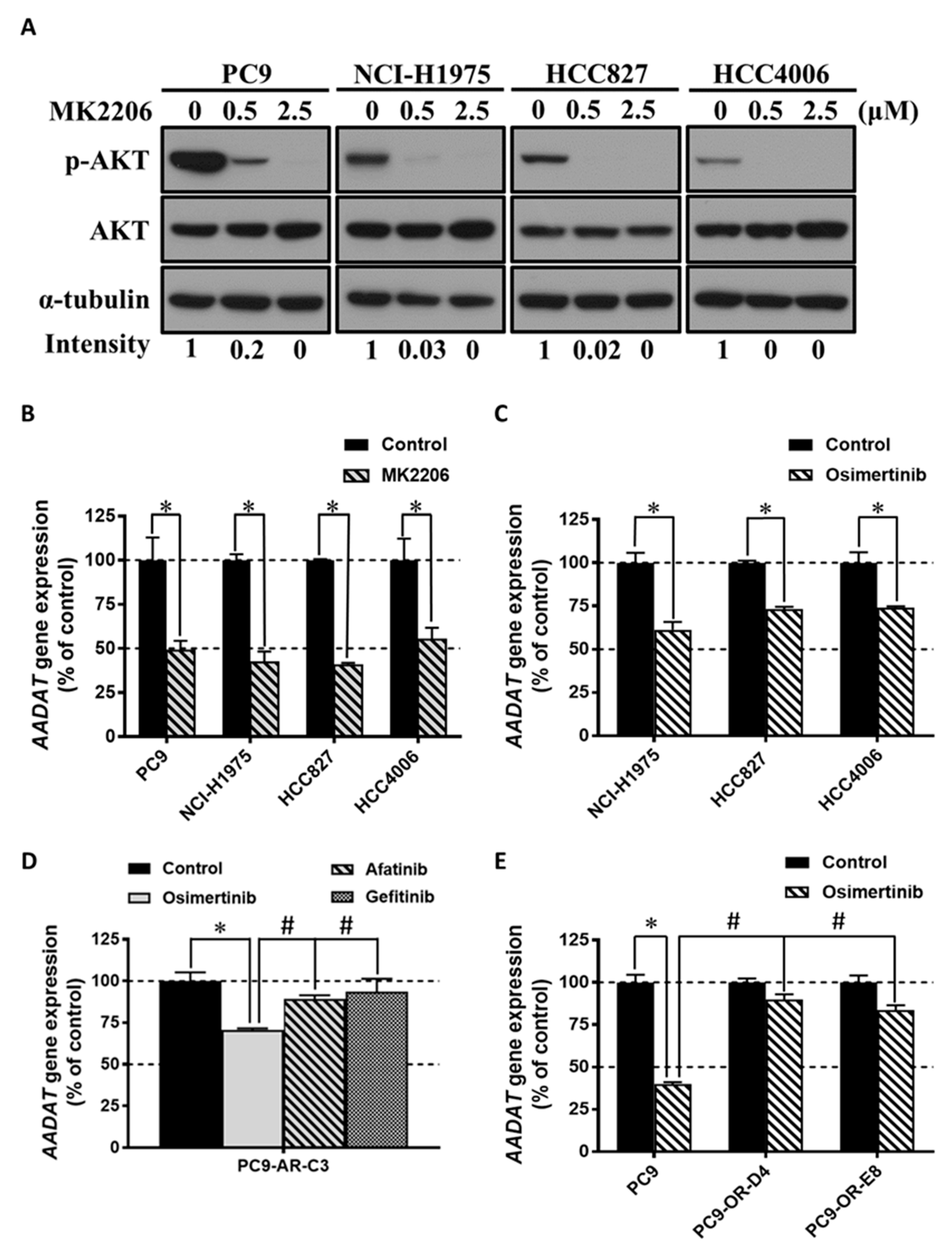 Cancers 13 00272 g006 Cancers 13 00272 g006