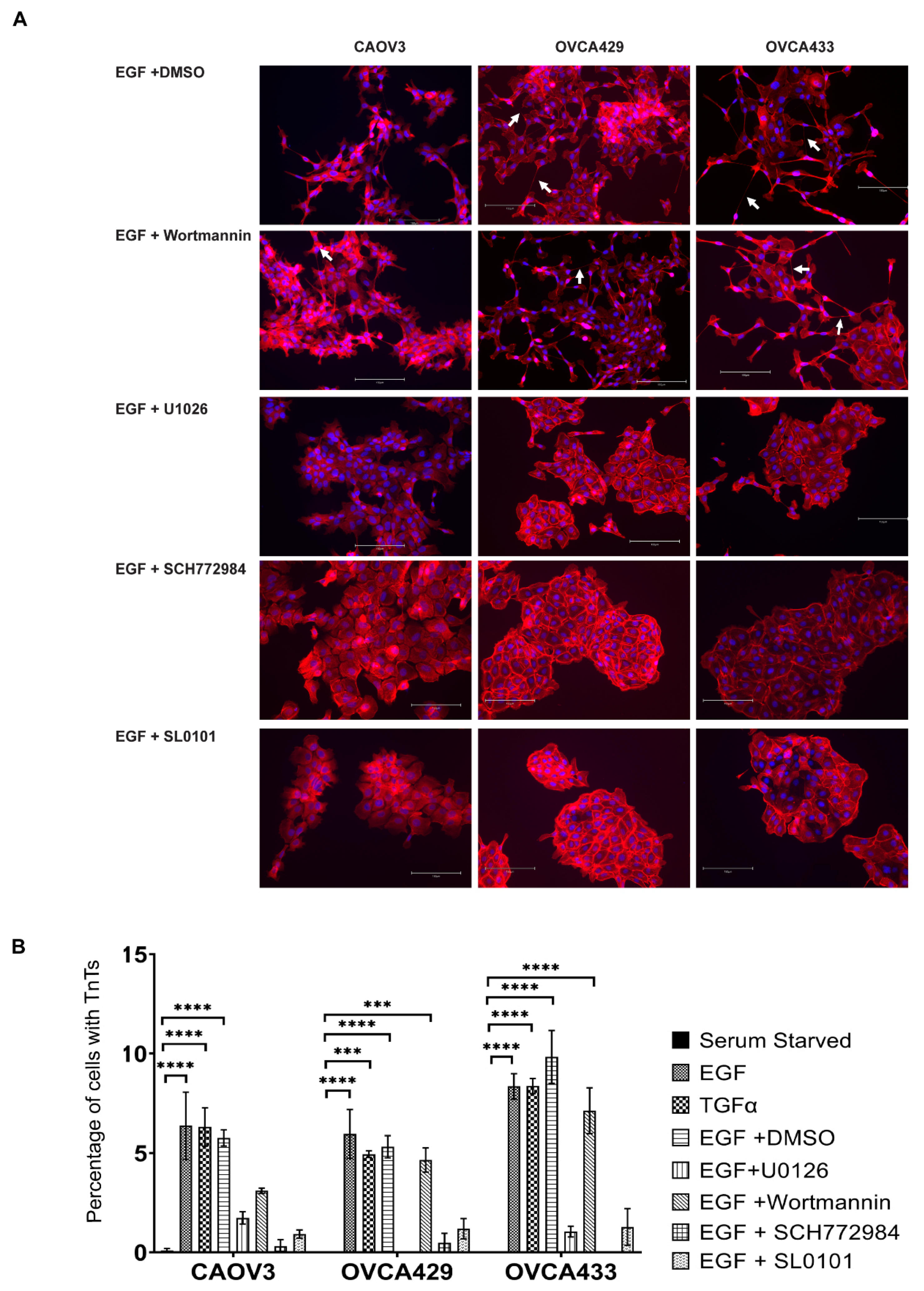 Cancers 13 00274 g005