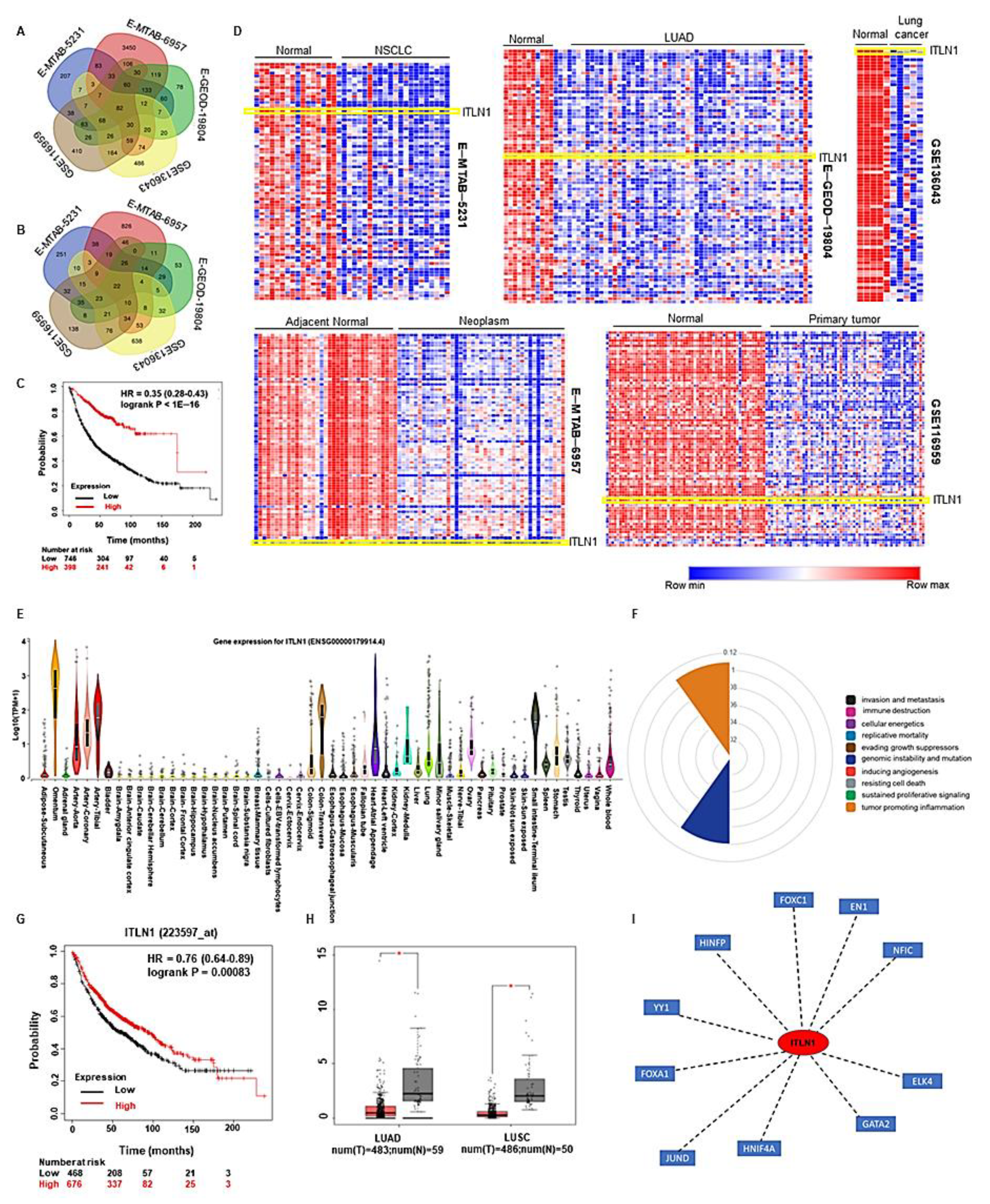 Cancers 13 00275 g004