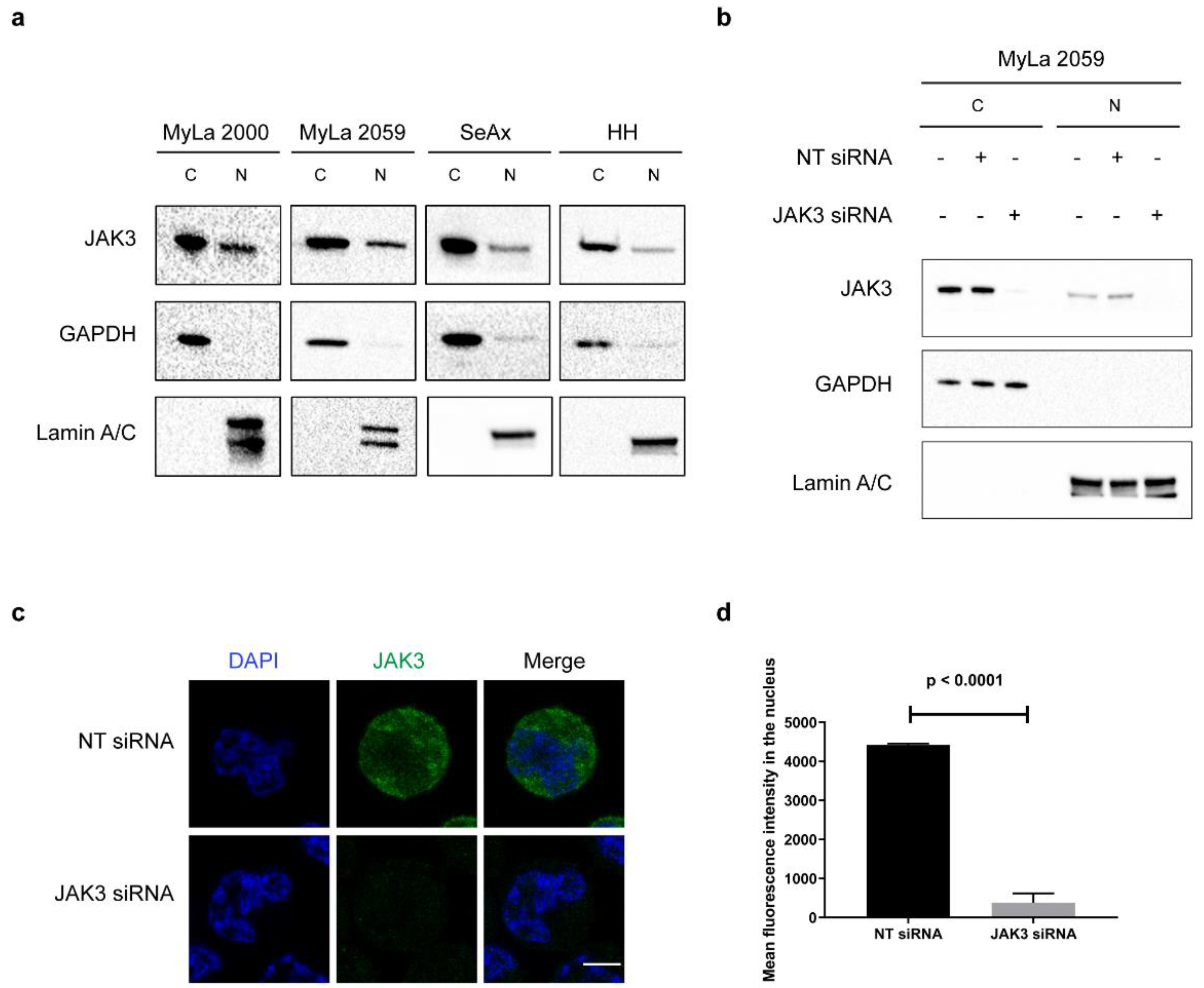 Cancers 13 00280 g001 Cancers 13 00280 g001