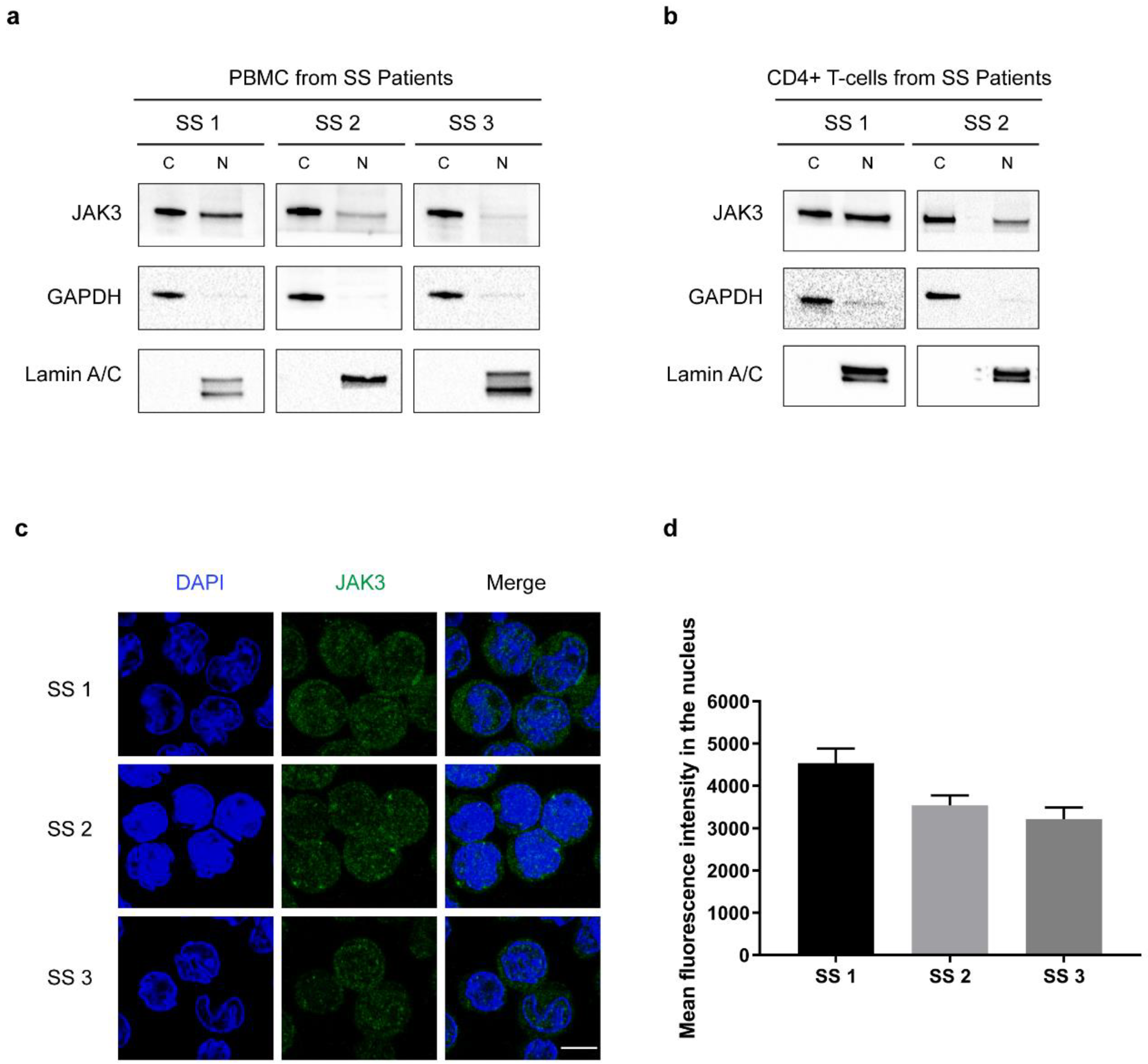 Cancers 13 00280 g002 Cancers 13 00280 g002