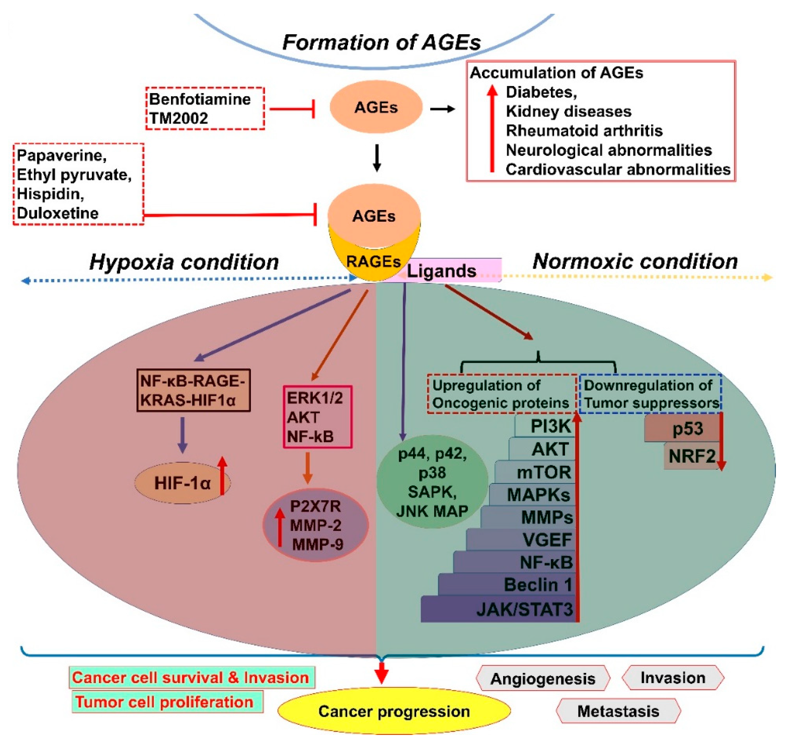 Cancers 13 00281 g002