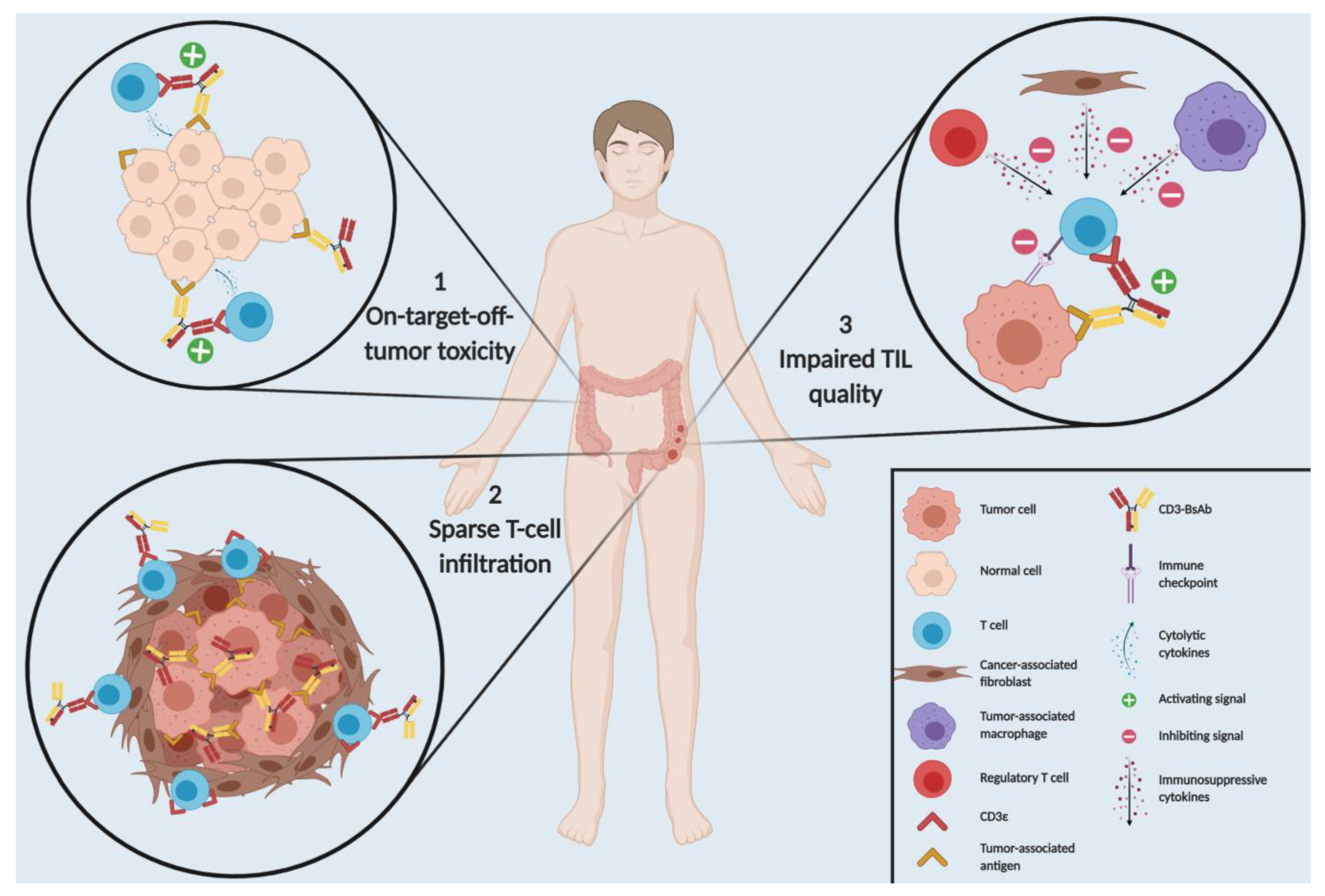 Cancers 13 00287 g001