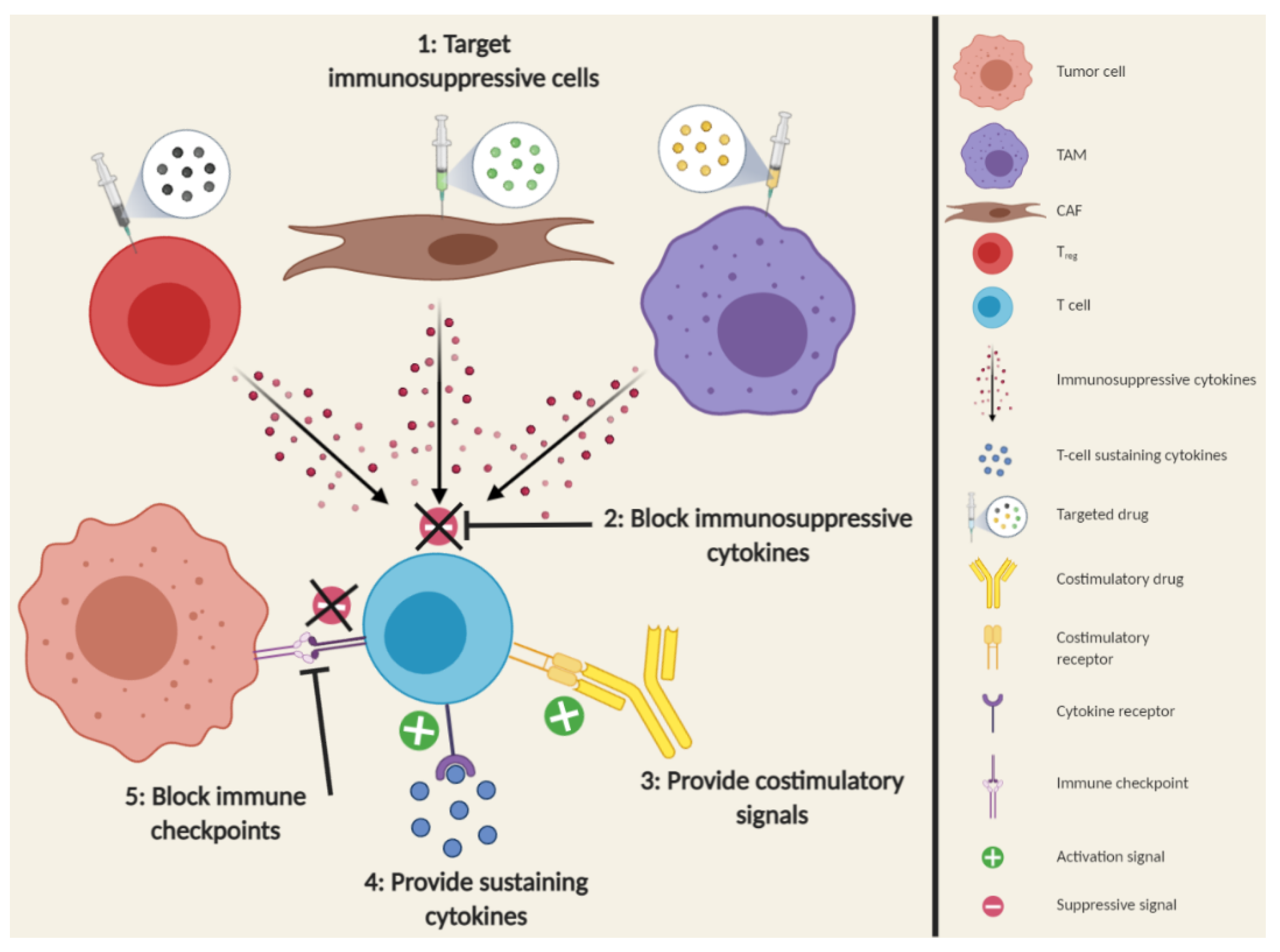 Cancers 13 00287 g004