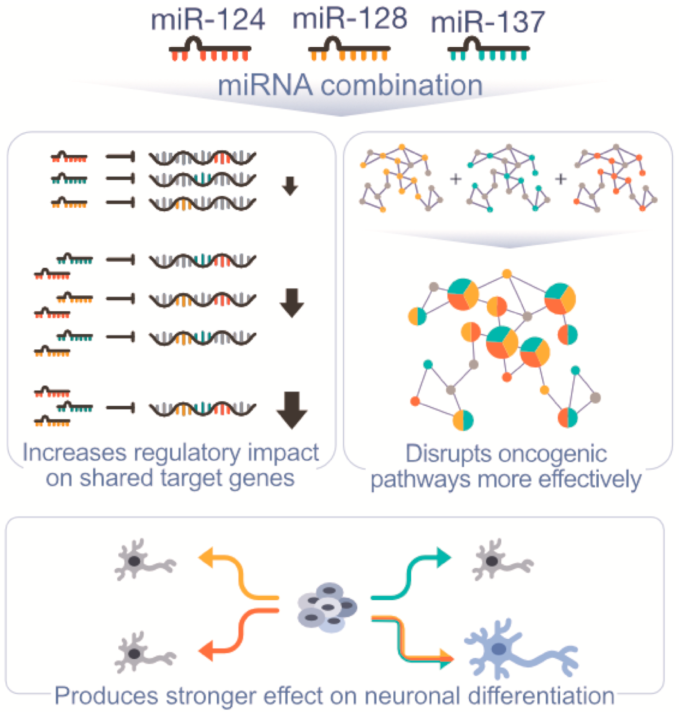 Cancers 13 00289 g001