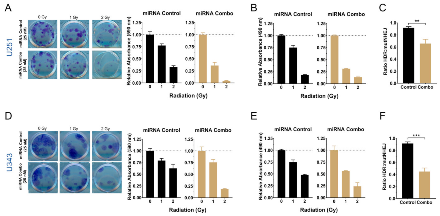 Cancers 13 00289 g007