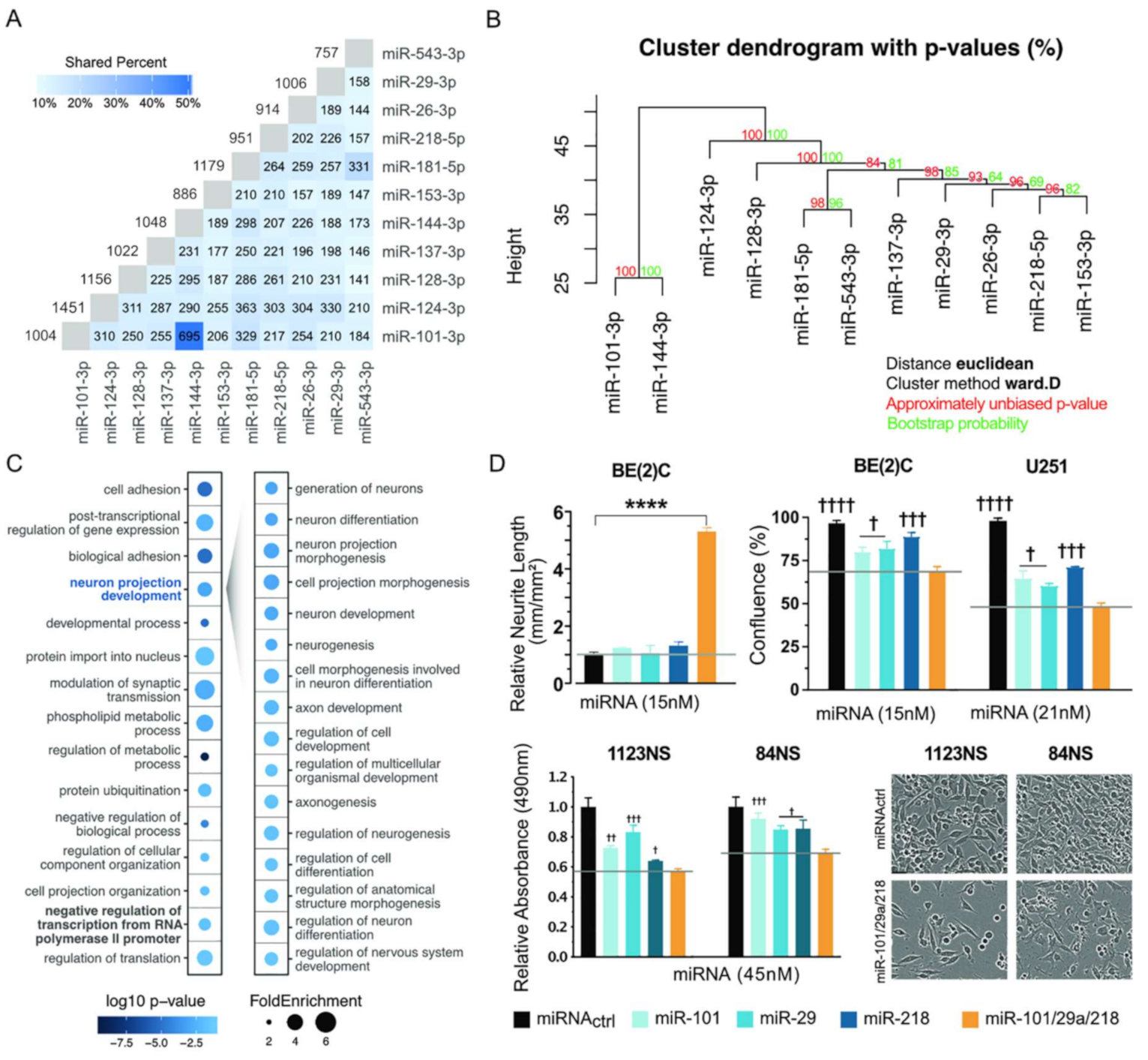 Cancers 13 00289 g008