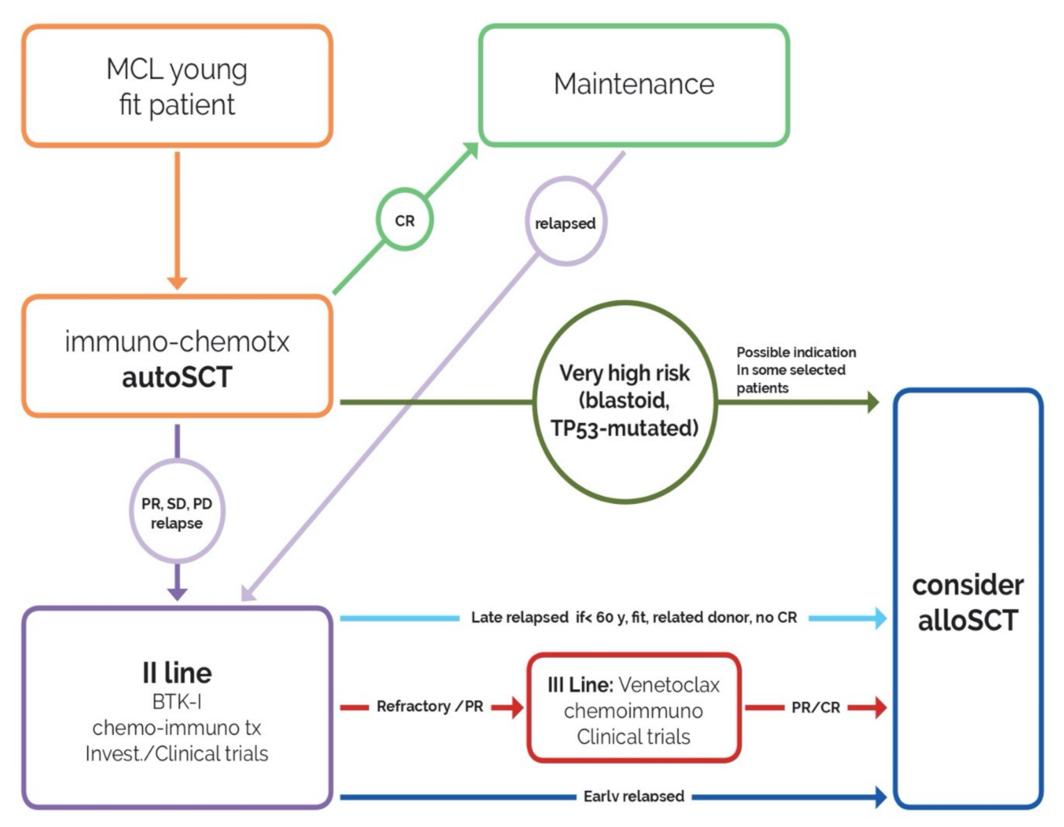 Cancers 13 00291 g001