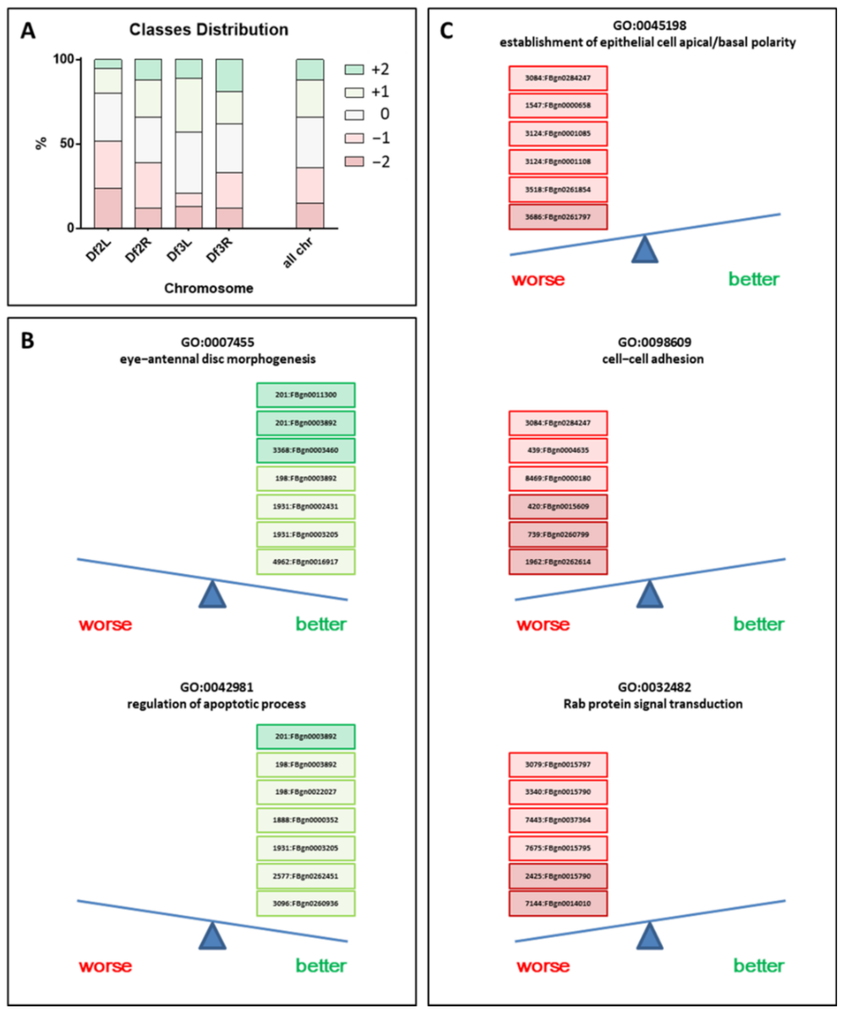 Cancers 13 00293 g002