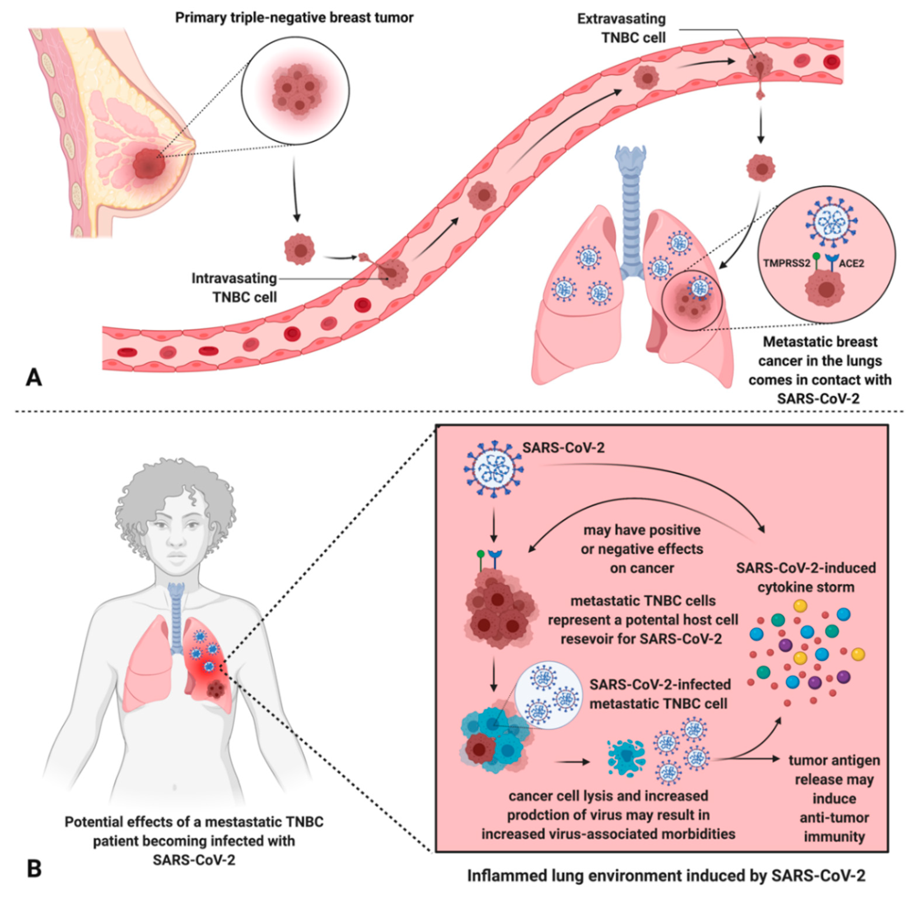 Cancers 13 00296 g003