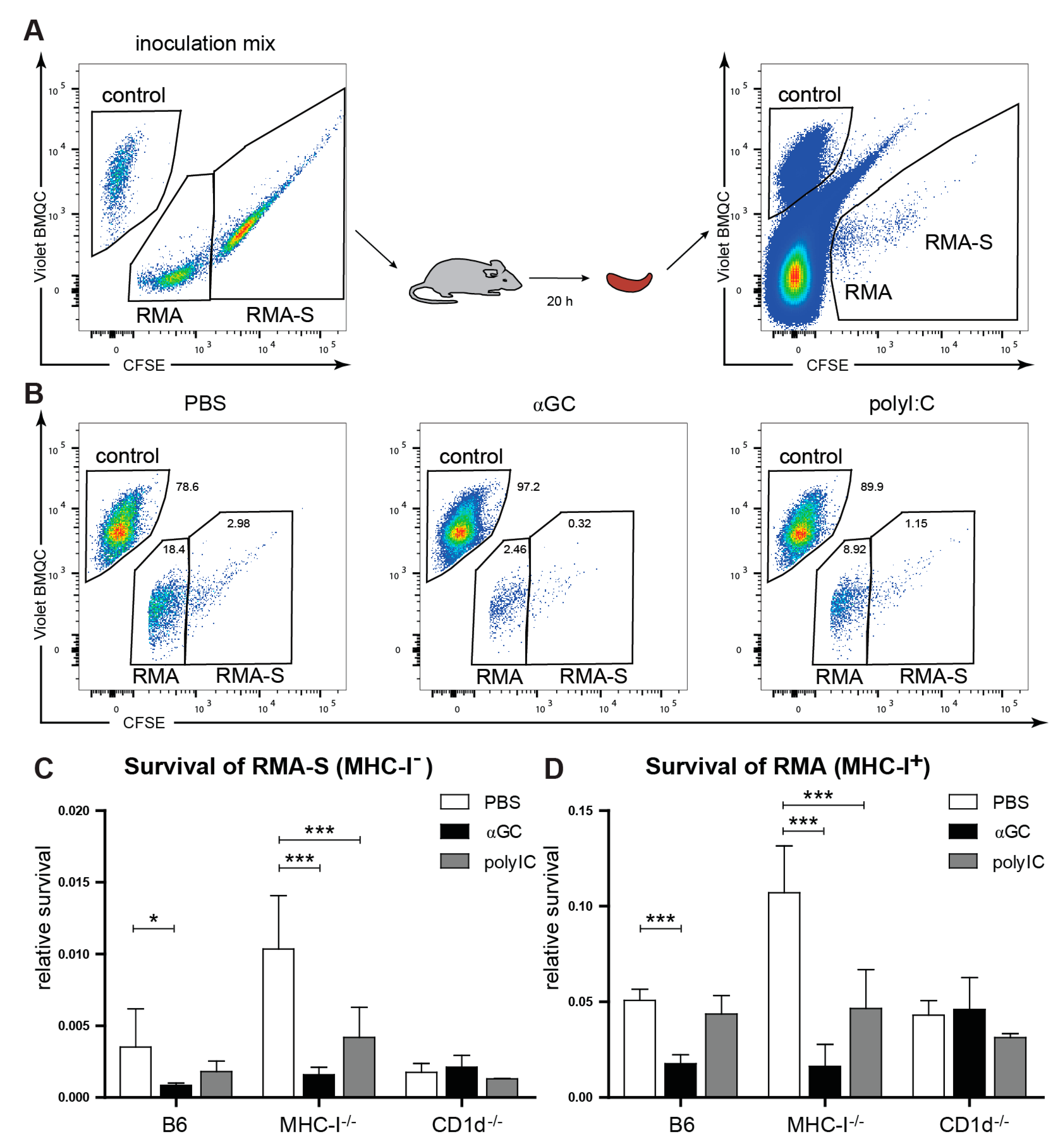 Cancers 13 00298 g005