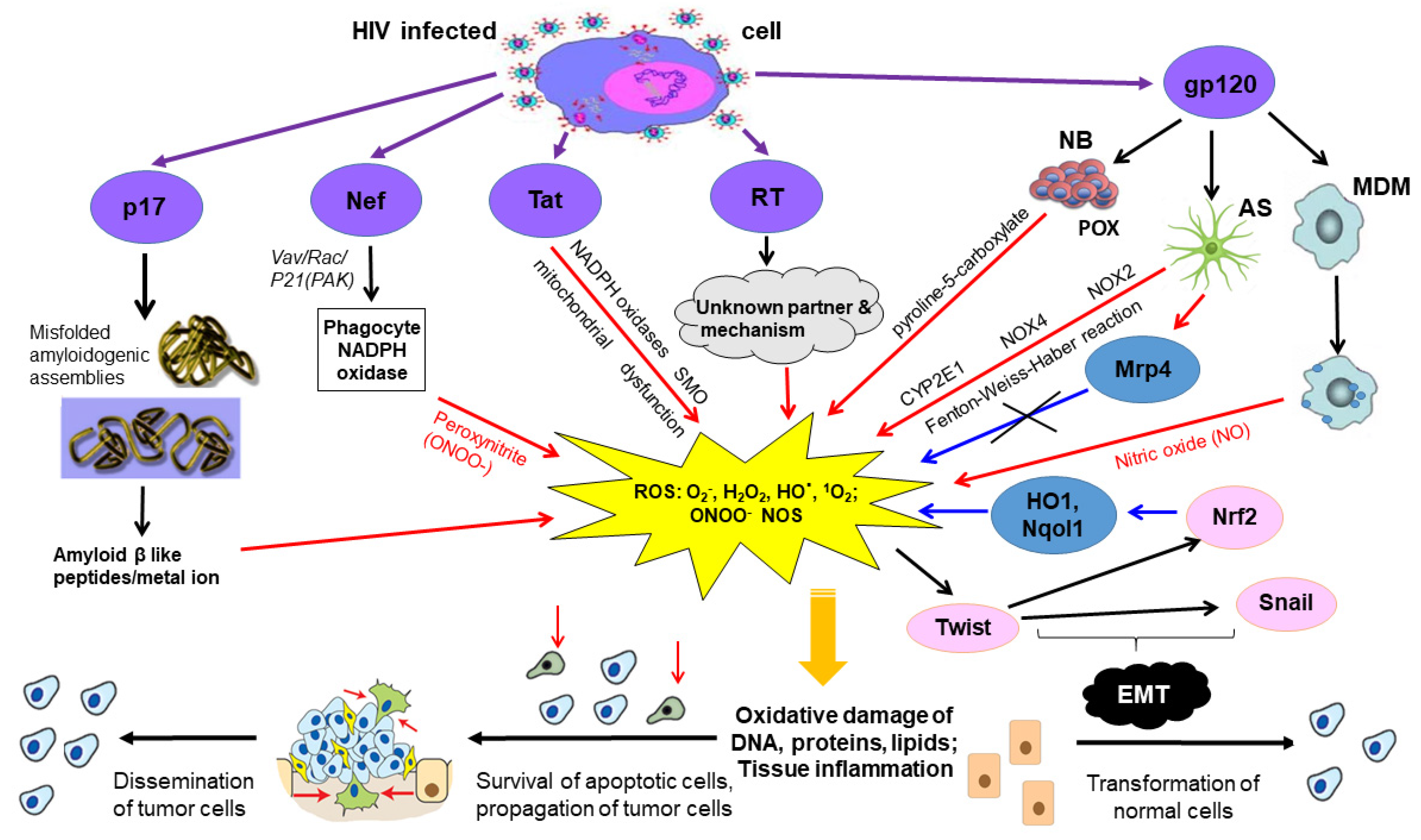 Cancers 13 00305 g003