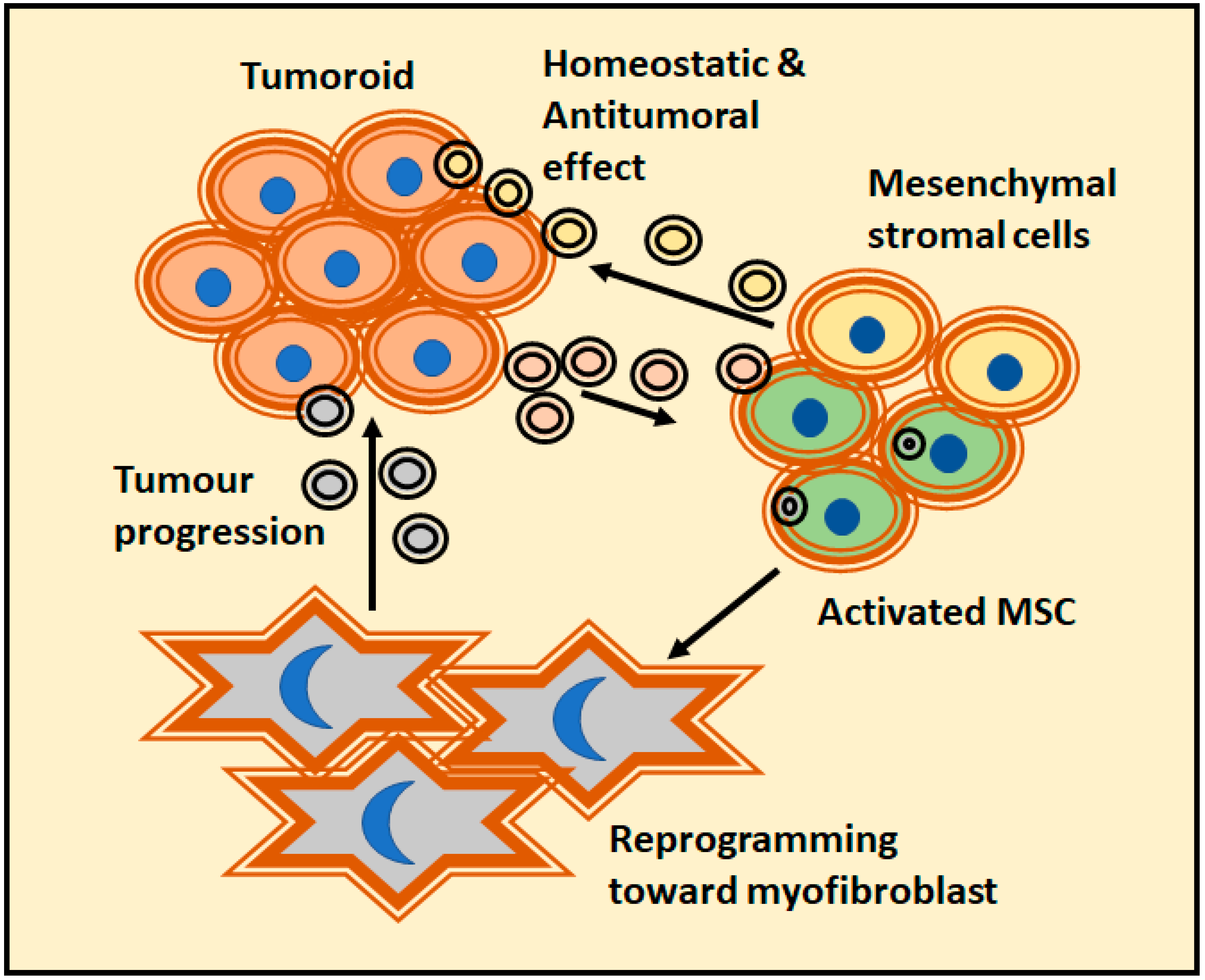 Cancers 13 00307 g003 Cancers 13 00307 g003