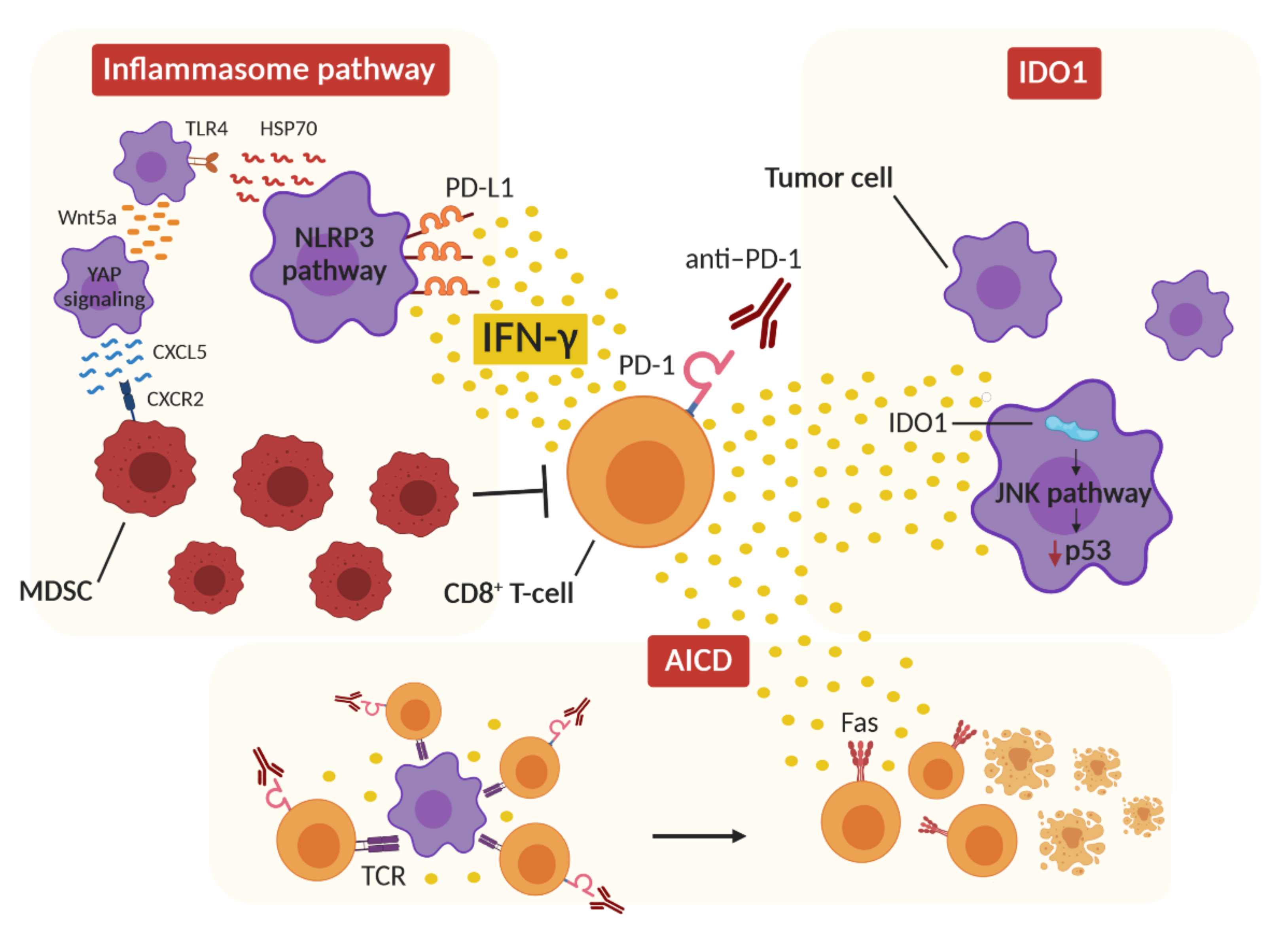 Cancers 13 00309 g002 Cancers 13 00309 g002